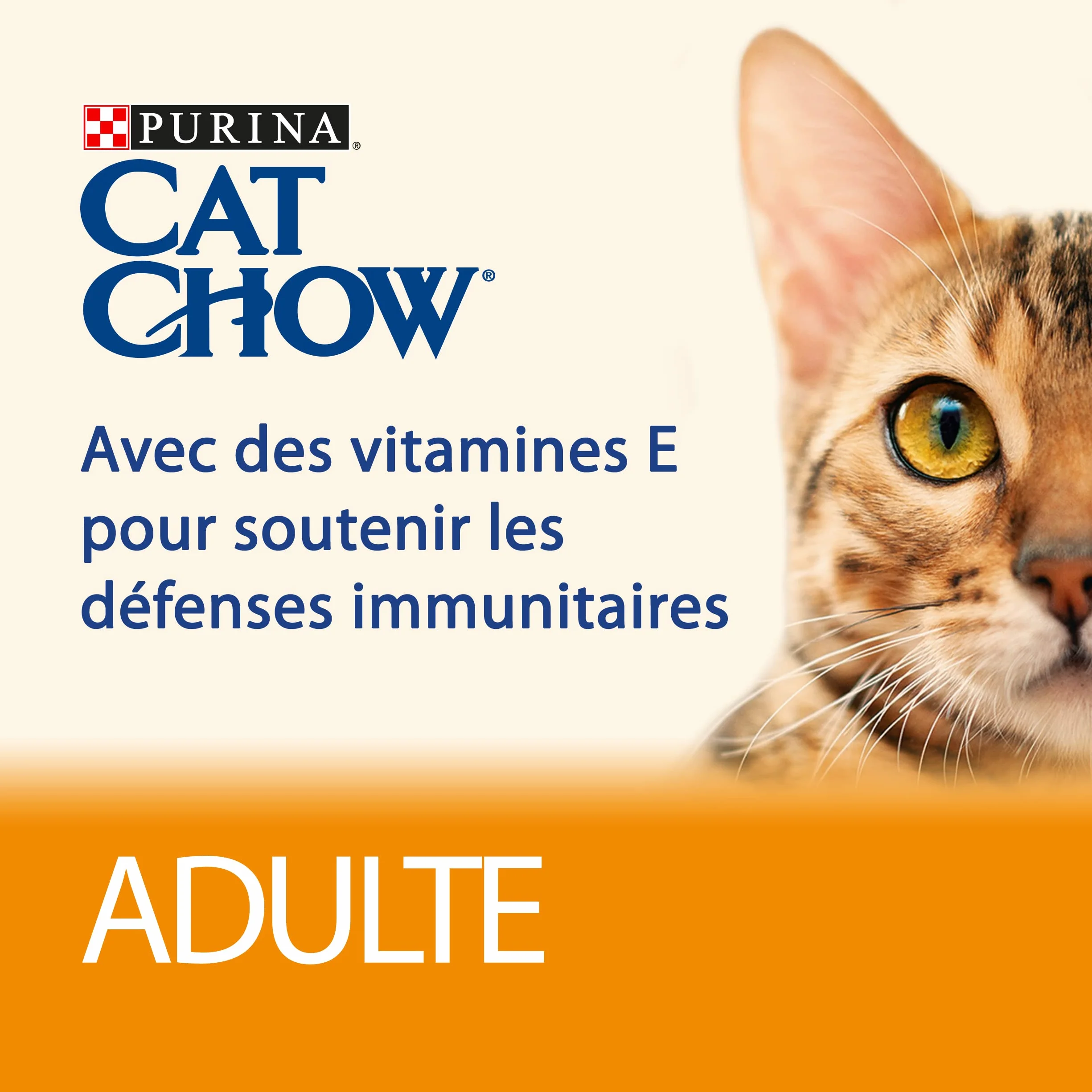 Purina Cat Chow Adult Karma dla Kota, Jagnięcina, 10 x 85 g