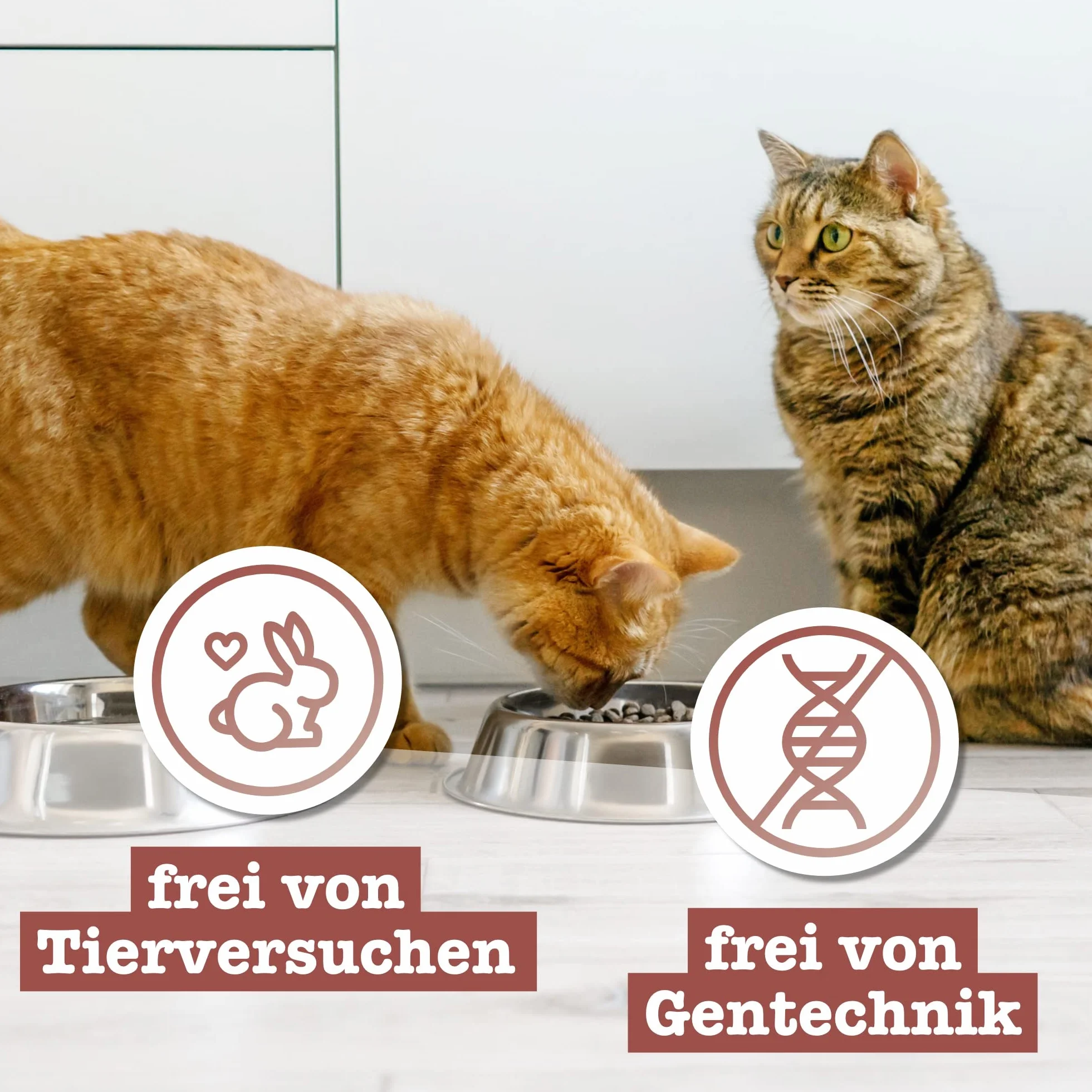 Catz Finefood N° 3 Karma dla Kotów, 45 g