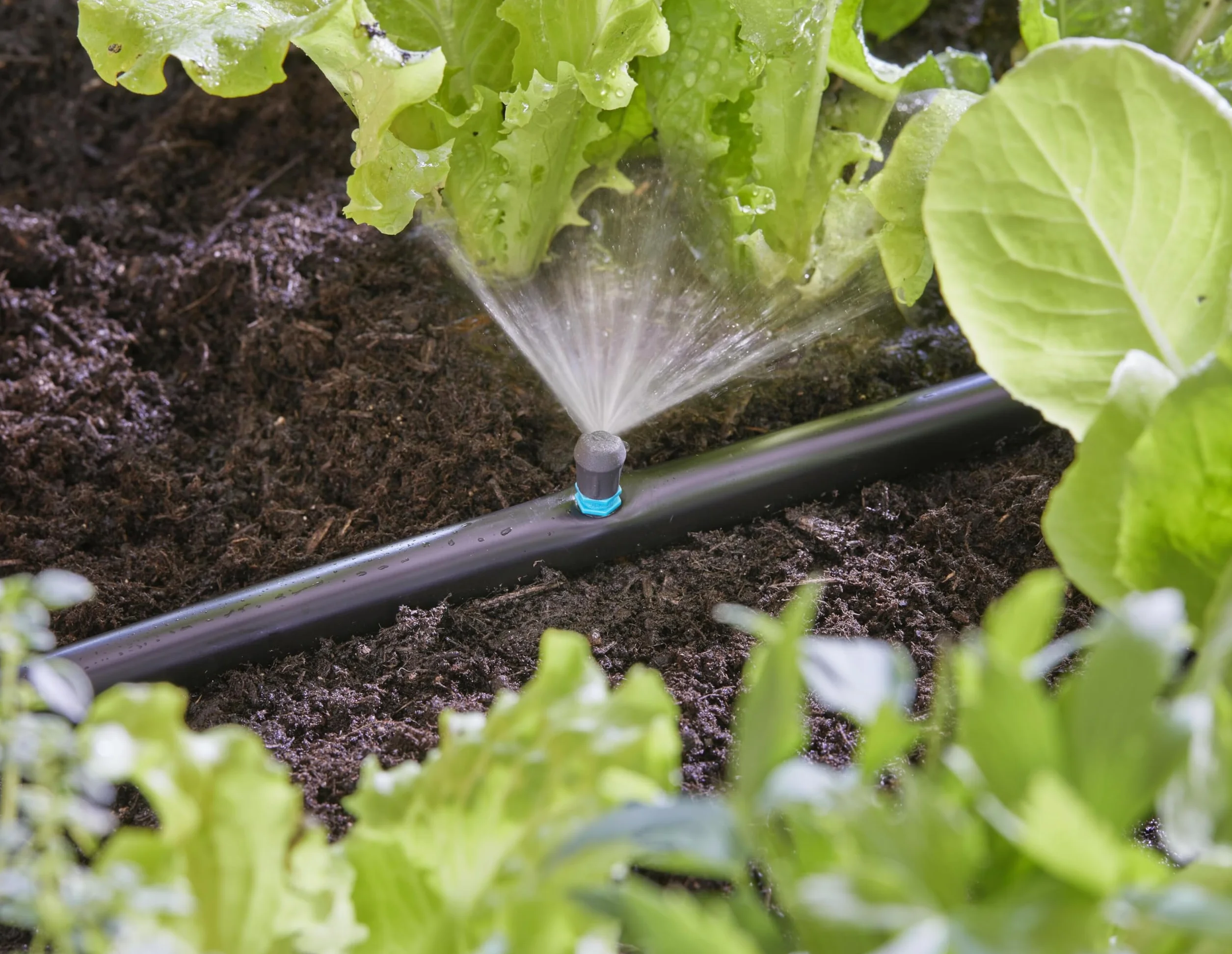 Gardena system Micro-Drip dysza rozpylająca 90 stopni: głowica rozpylająca 90 stopni, regulowane i wodooszczędne zraszanie, zasięg rozpylania 2,5 m, 5 szt. (13320-20)