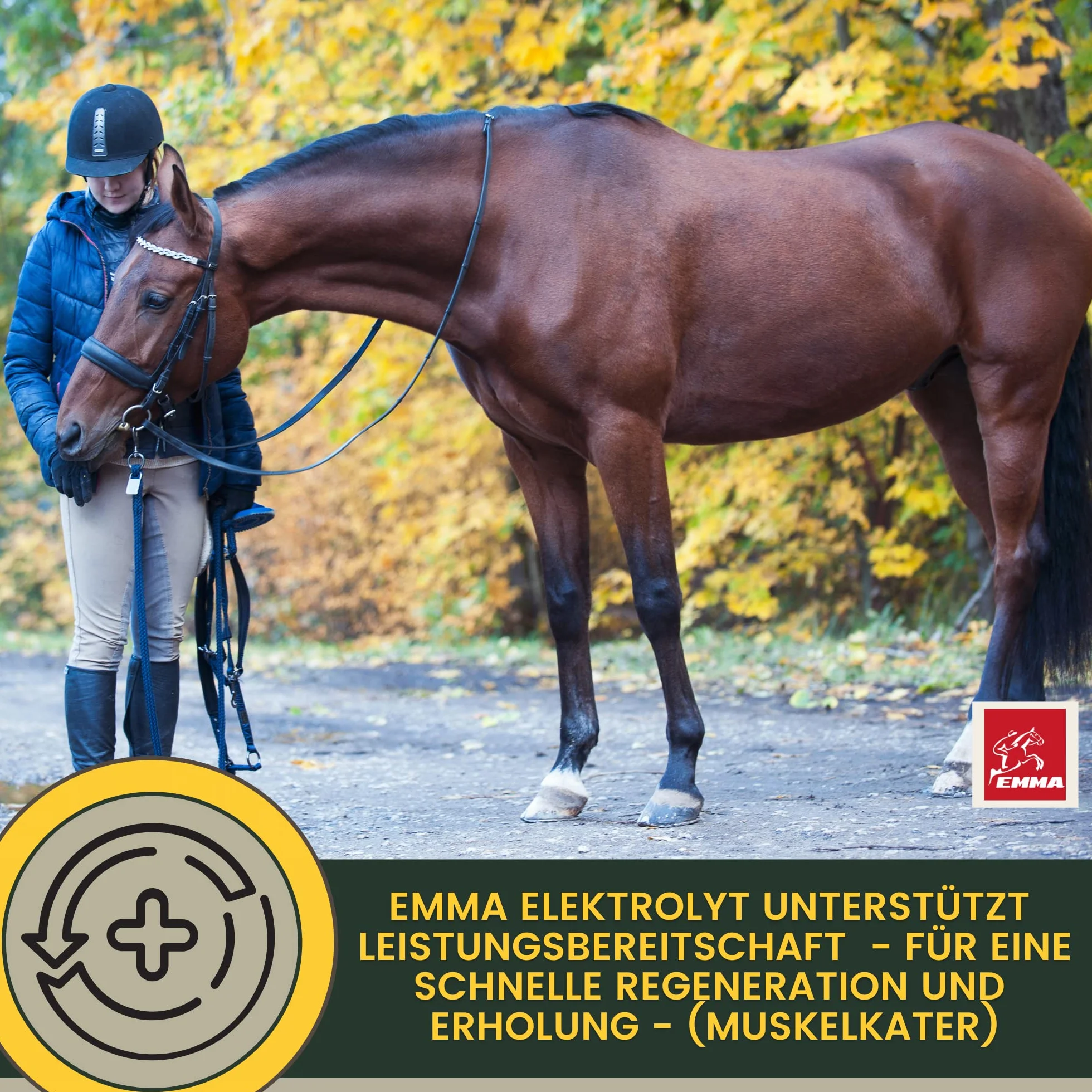 EMMA Pasta elektrolitowa z koniem 1 szt. – wzmacniacz elektrolitu z kompleksem witaminy B, potas, sód, wapń, magnez, szybkie nawodnienie w przypadku biegunki, pocenia się wody odchodowej, poceniu się