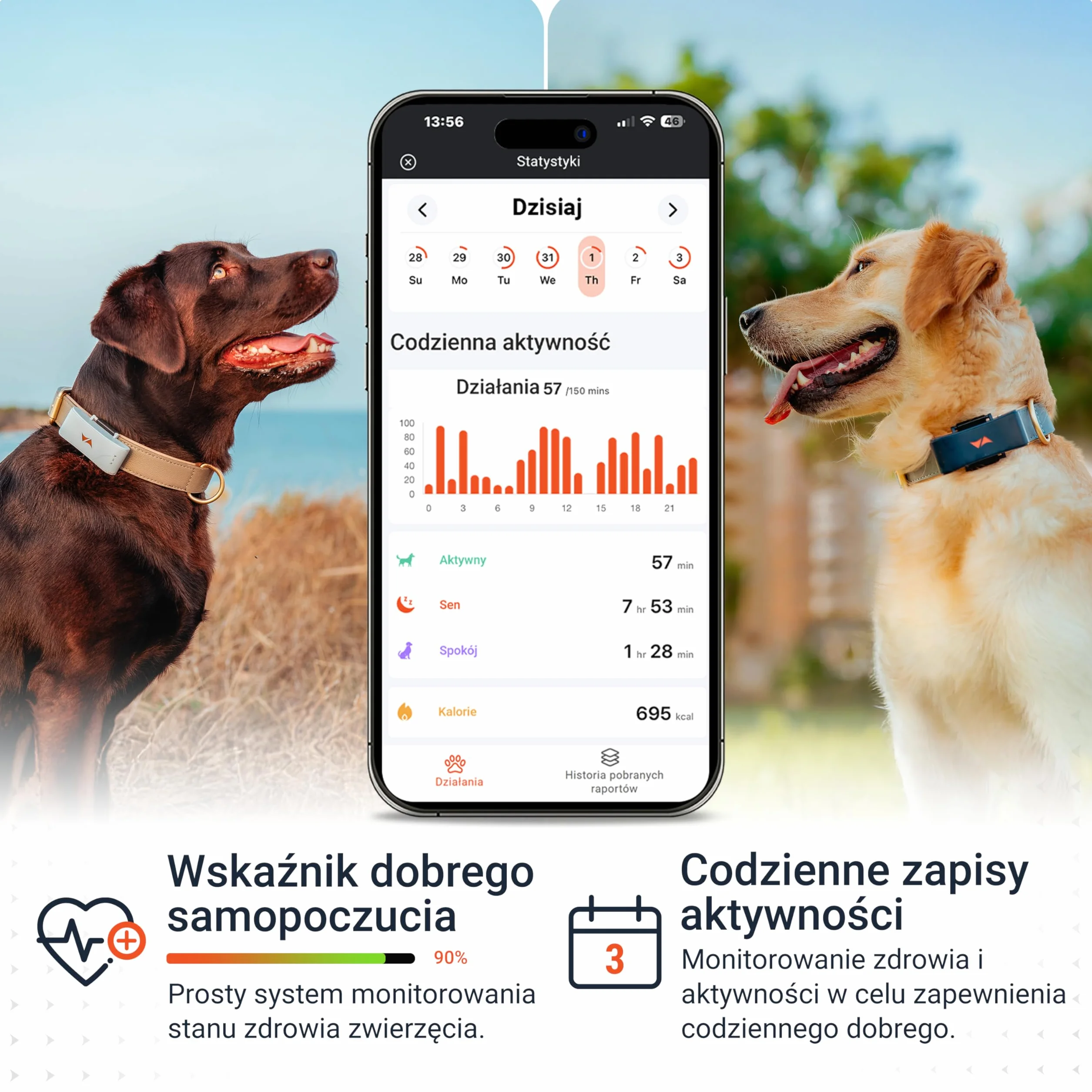 PAJ GPS Tracker dla Psów - 4G + 3-Miesięczny Abonament Premium W Cenie - Śledzenie GPS na Całym Świecie, Bateria do 10 Dni, LED, Wodoodporny, Pasuje do Wszystkich Obroży - Niebieski