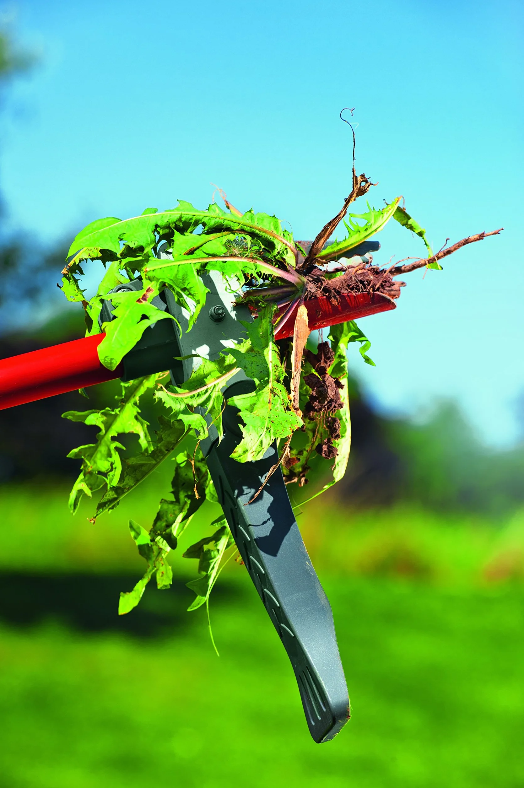 WOLF-Garten IWA Garden Weeder Narzędzie do pielęgnacji trawnika, czerwone, 121 x 7,75 x 3,75 cm