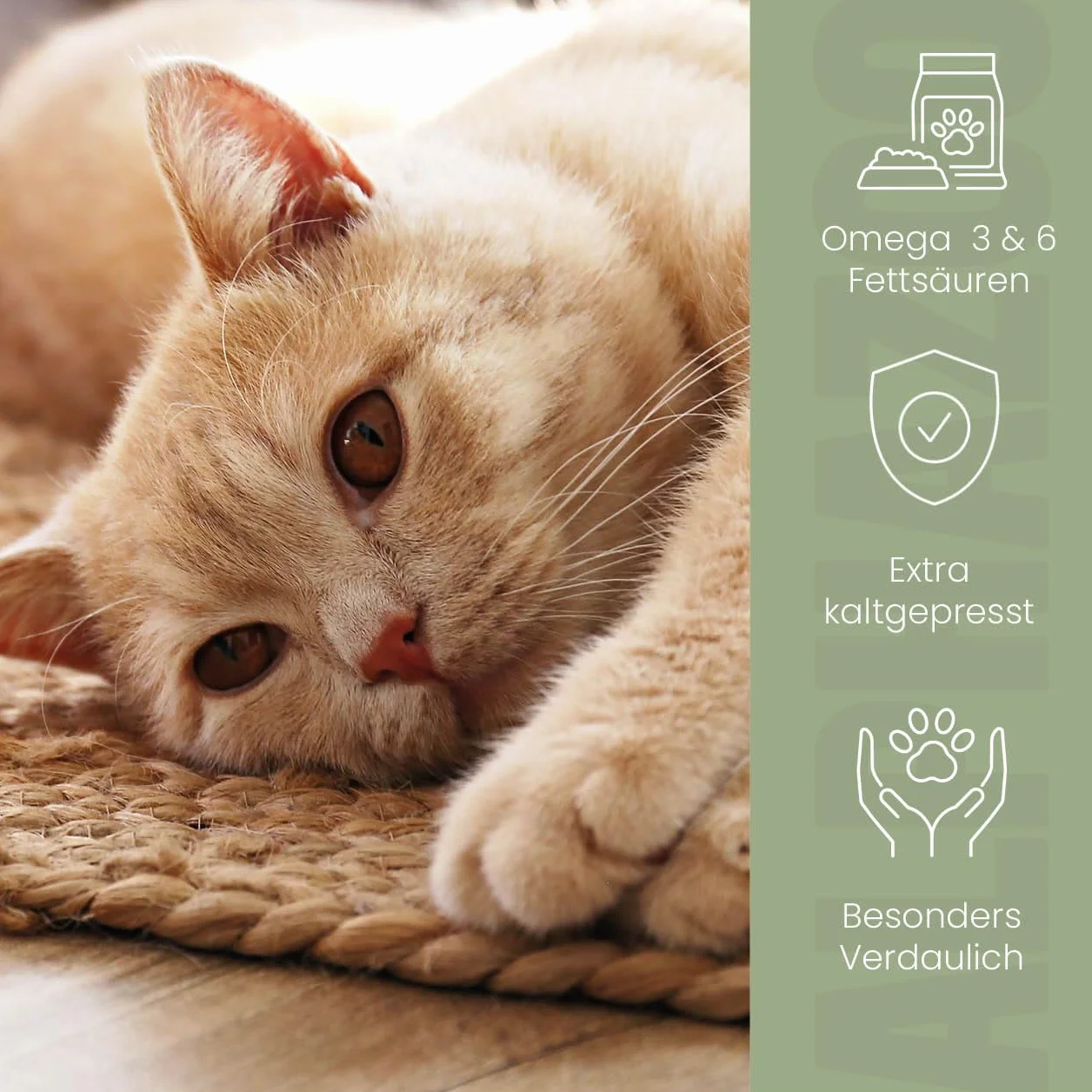 alphazoo Olej lniany dla kota 100 ml z kwasami tłuszczowymi Omega-3 i Omega-6, tłoczony na zimno, naturalnie czysty, do pielęgnacji sierści i trawienia