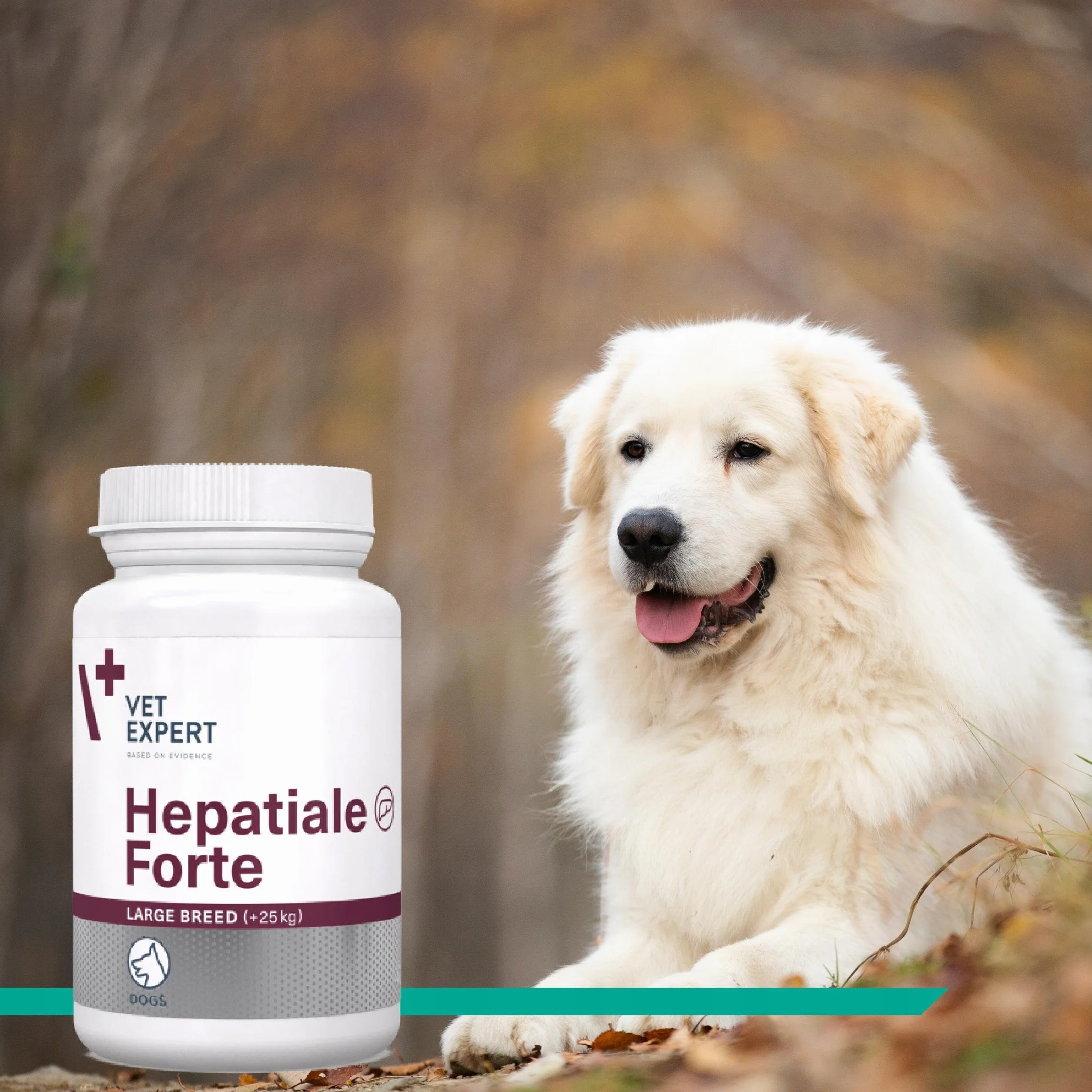 VET EXPERT HEPATIALE FORTE LARGE BREED Preparat dla Psów Dużych Ras Wsparcie Wątroby 40 Tabletek