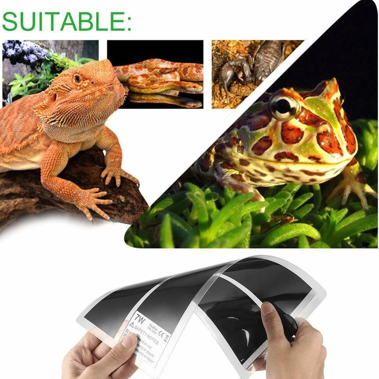 Mata grzewcza terrarium wodoodporna z regulacją temperatury 20 W dla gadów