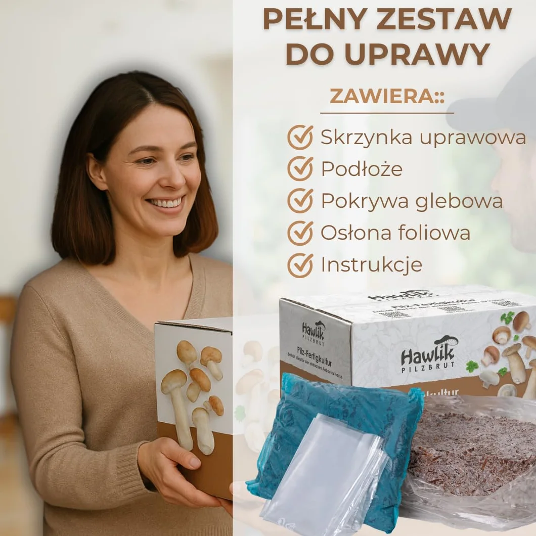 Hawlik Pilzbrut grzybnia - małe kamienne grzyby kultura grzybów do samodzielnej uprawy - zestaw do uprawy grzybów - uprawa grzybów to dziecinnie prosta - zestaw do uprawy grzybów w domu, Klein Braun