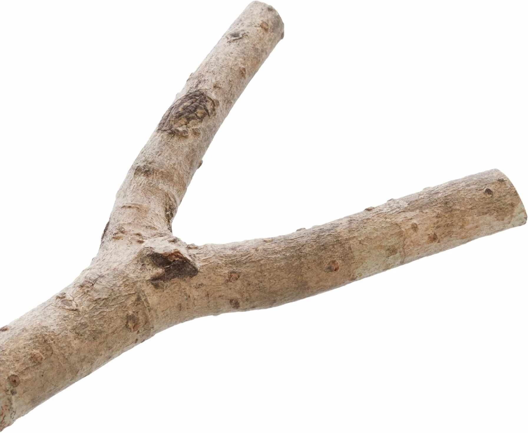 Trixie Drążek Do Siedzenia Dla Ptaków 20 cm 15 mm Brązowy
