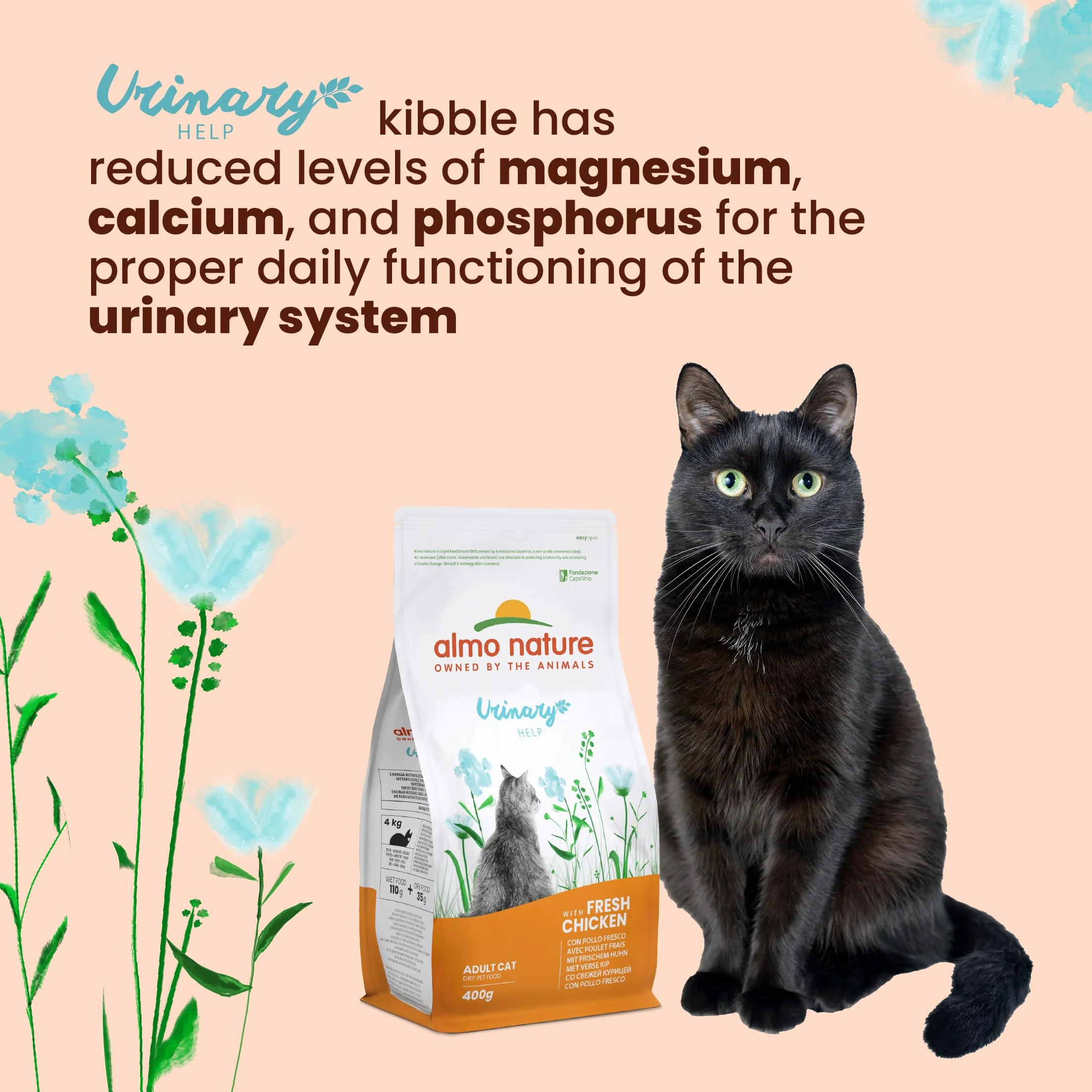 Almo Nature Functional Urinary Help Wilgotna karma dla dorosłych kotów wsparcie dróg moczowych 30 worków po 70 g