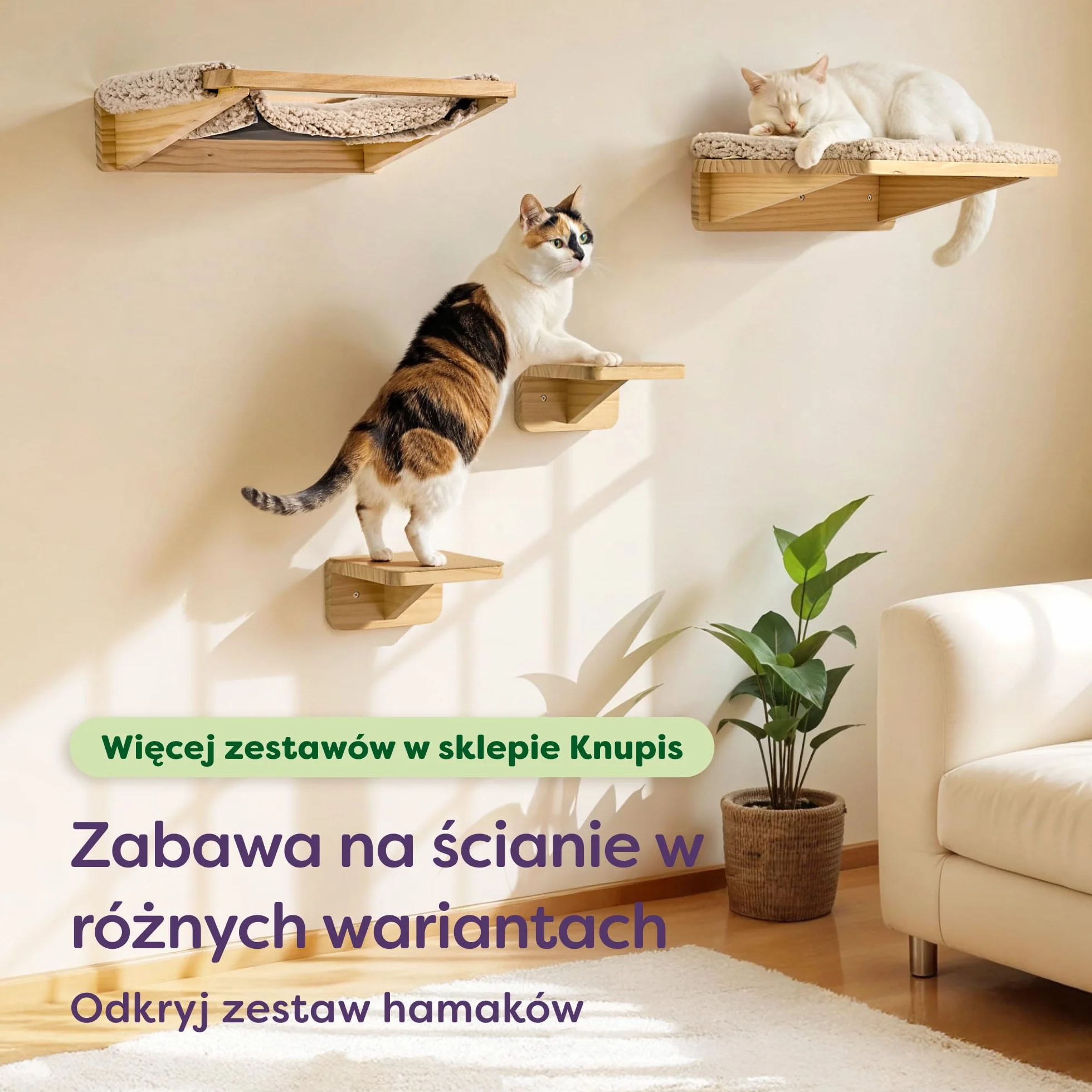 Knupis Zestaw Ściennej Drabinki dla Kota z Legowiskiem, Drewno Sosnowe, Stabilna Półka Ścienna do 30 kg, Beżowy
