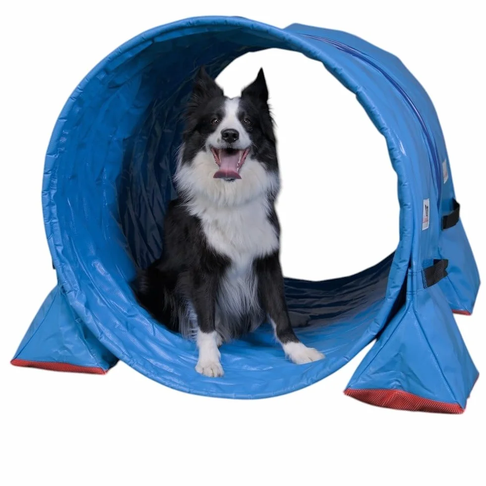 Callieway Hoopers Agility zestaw tuneli "Profi" – Orig zestaw tuneli (2 szt.) do sportów psów Hoopers (w zestawie 4 worki tunelowe) (80 cm Ø 100 cm długości, niebieski/niebieski)