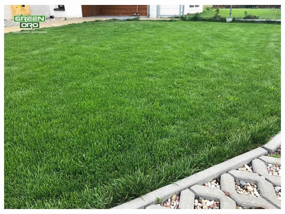 ORO START 5KG – Specjalistyczny nawóz do siewu trawy, trawnika rolkowego i sadzonek roślin.