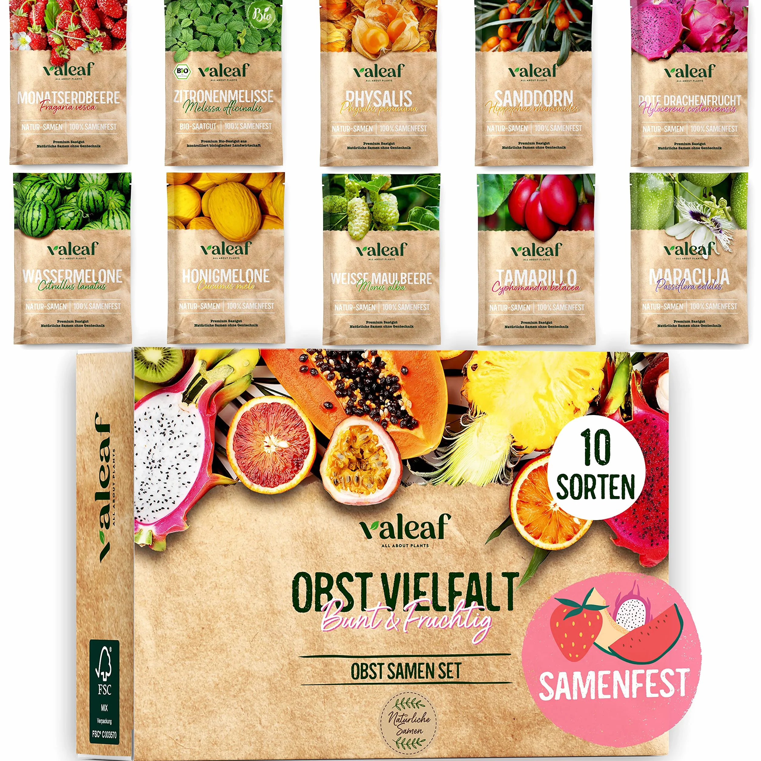 valeaf Obst Samen Set I 10 Sorten Obstsamen I Premium Saatgut Obst I Pflanzen Set inkl. Obst Samen I Erdbeersamen, Melonen Samen, Physalis, Drachenfrucht I Pflanzen Samen I ideales Samen Set Geschenk