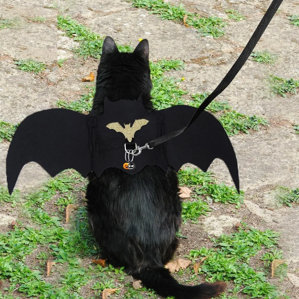 Kostium nietoperza dla zwierząt domowych, kot Bat Wings kostium z dzwonkiem dyni i zwierzęciem domowym, ołowiane skrzydła nietoperza, koty, nietoperz, skrzydła nietoperza, pies na Halloween, imprezę