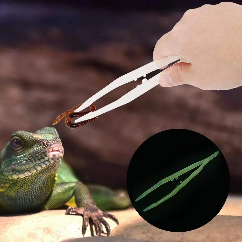Pęseta do Karmienia Gadów, 18 cm, Antypoślizgowe Szczypce, Noctilucence, Narzędzie do Karmienia Żółwi i Jaszczurek, Terrarium