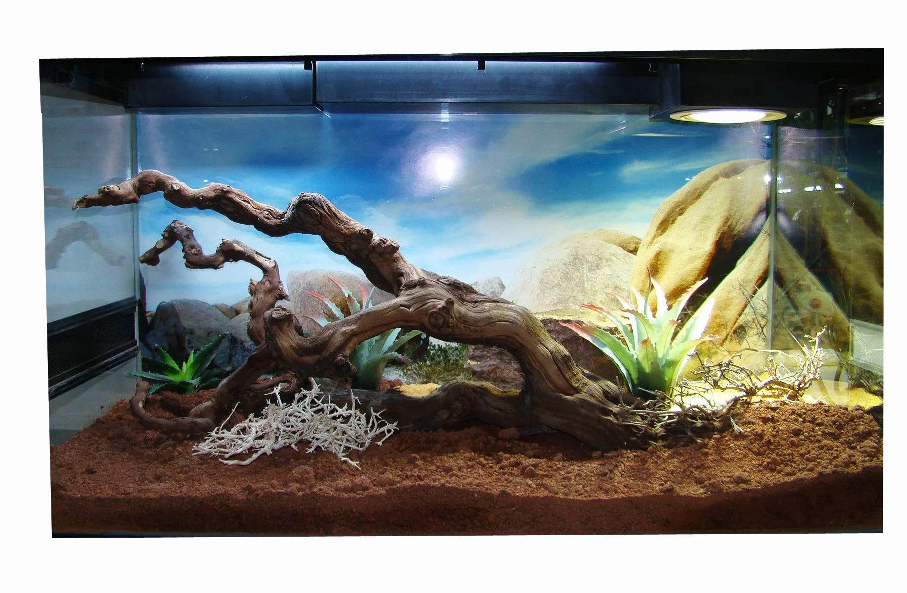 Lucky Reptile 7-litrowe podłoże do terrariów pustynnych-naturalne podłoże z piaskiem i gliną-podłoże do terrarium dla smoków brodatych i gekonów lamparcich