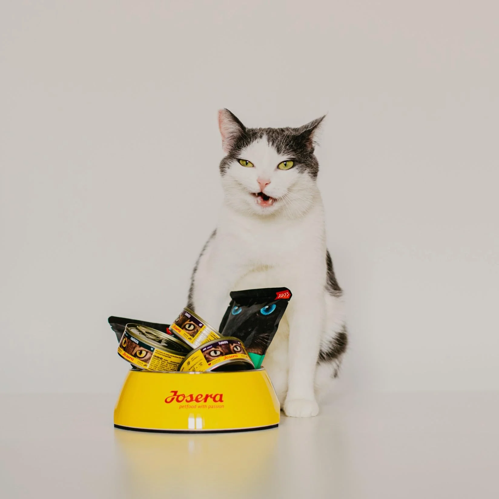 JosiCat Kitten (1 x 1,9 kg) | sucha karma premium dla rosnących kotów | sucha karma dla kotów | Powered by JOSERA