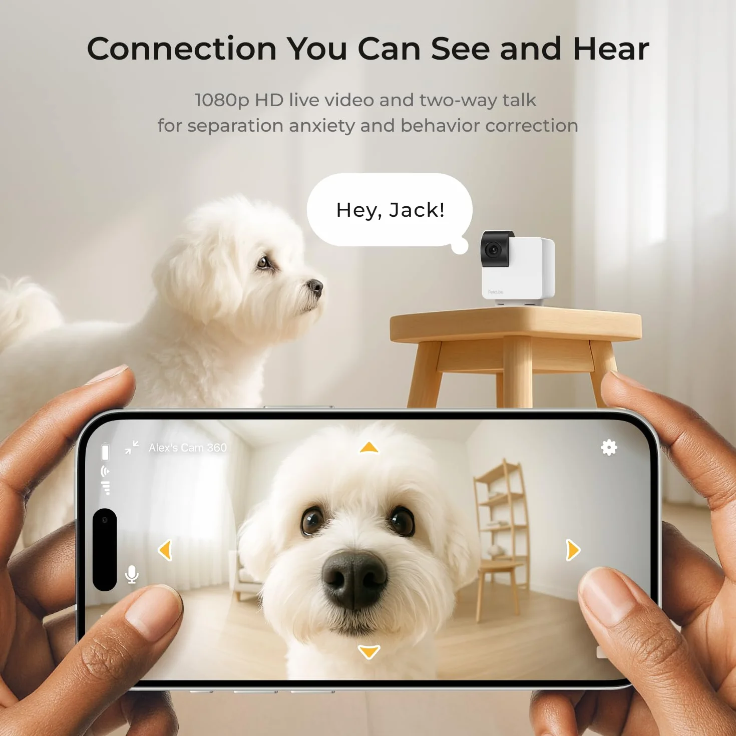Petcube Kamera Cam 360, interaktywna kamera WiFi bezpieczeństwo zwierząt domowych i domowych z aplikacją na telefon, wideo HD 1080p, obrót 360°, noktowizor, dwukierunkowe audio, inteligentne alerty do