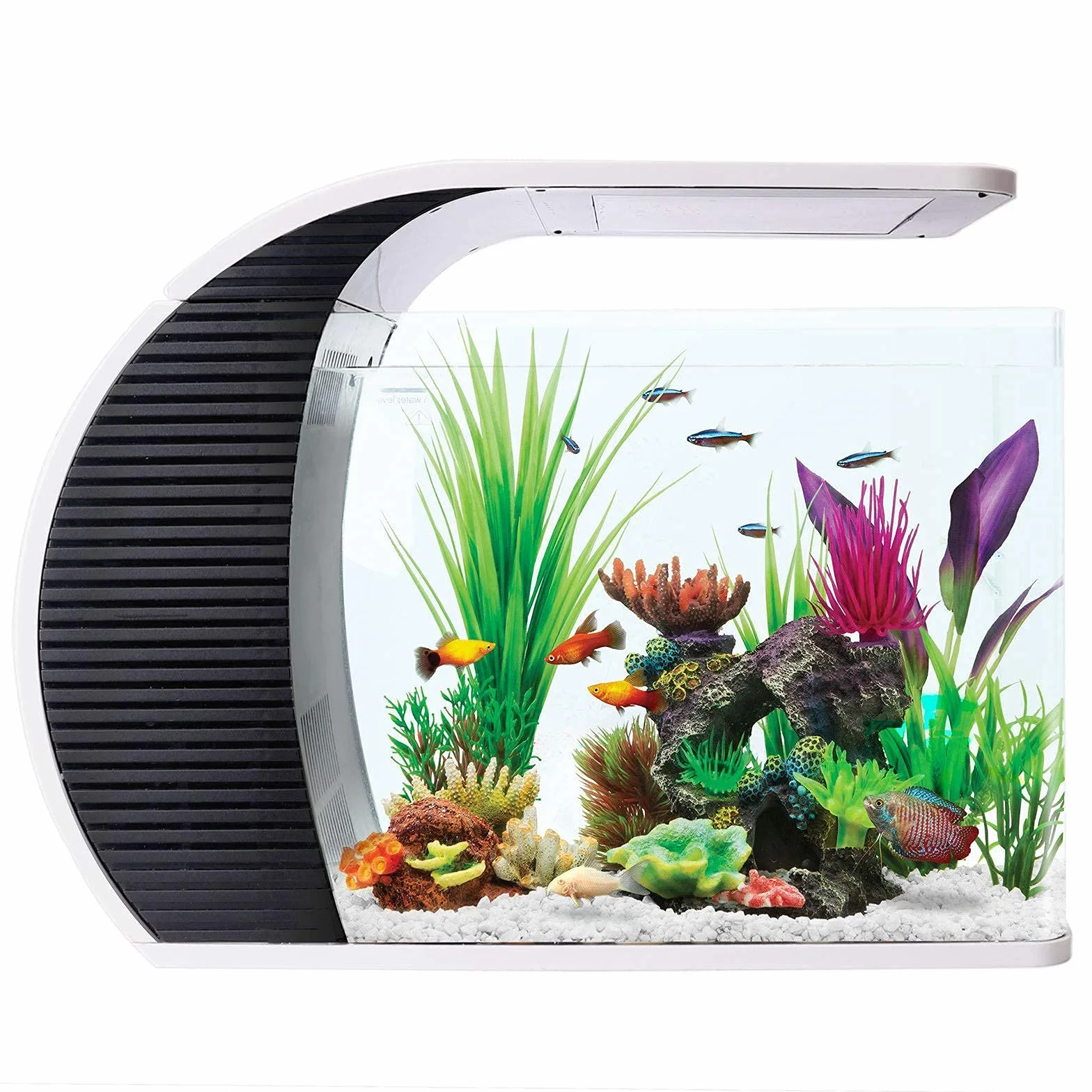 hygger Zestaw szklanych akwariów LED Fish Tank19 litrów, akwarium panoramiczne, zakrzywiona przednia szyba z ukrytym filtrem, oświetlenie LED (3 tryby kolorów do wyboru)