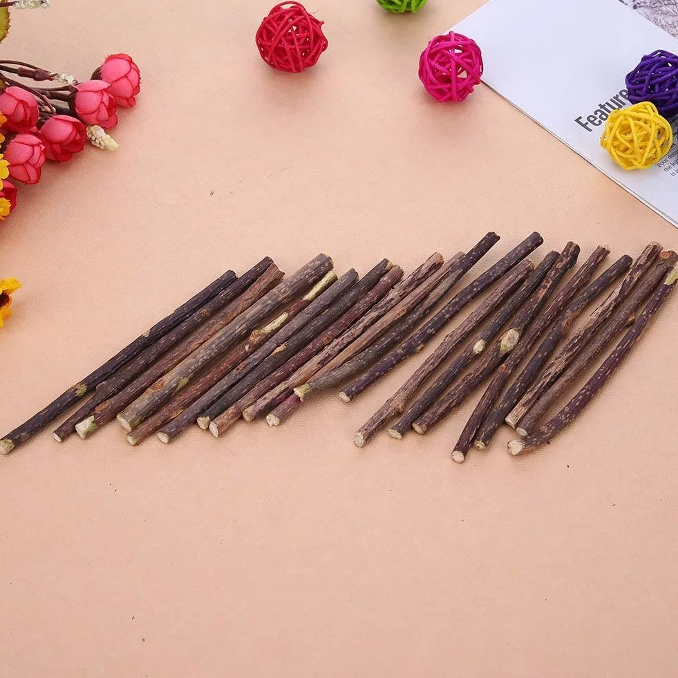 Naturalna kocimiętka do żucia dla kota Calng Catnip Chew Toy 15 szt.