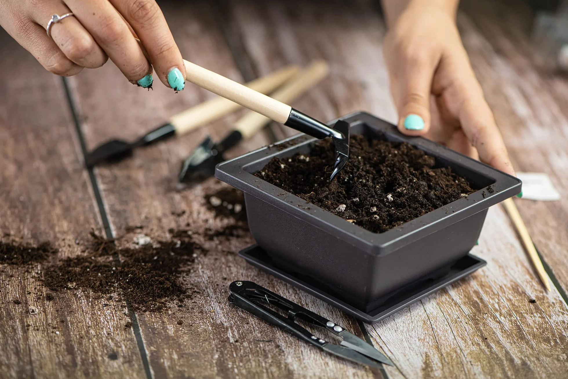 Zestaw Startowy Bonsai | Premium Autentyczny Japoński Zestaw Startowy do Drzewka Bonsai DIY-Zawiera 3 Odmiany Nasion Drzewa Bonsai, Glebę Doniczkową, Doniczki Bonsai i Zestaw Narzędzi