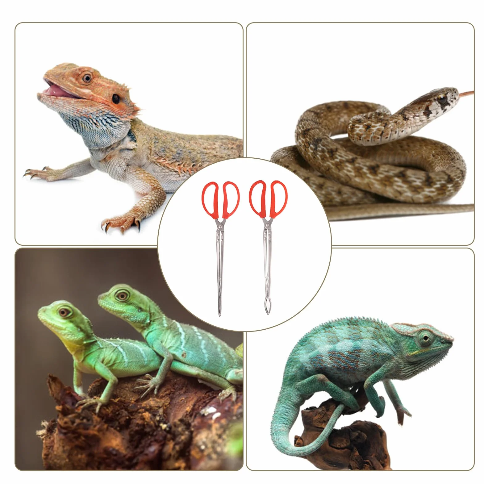 Szczypce do Karmienia Węży 38cm Długie Pesety do Terrarium