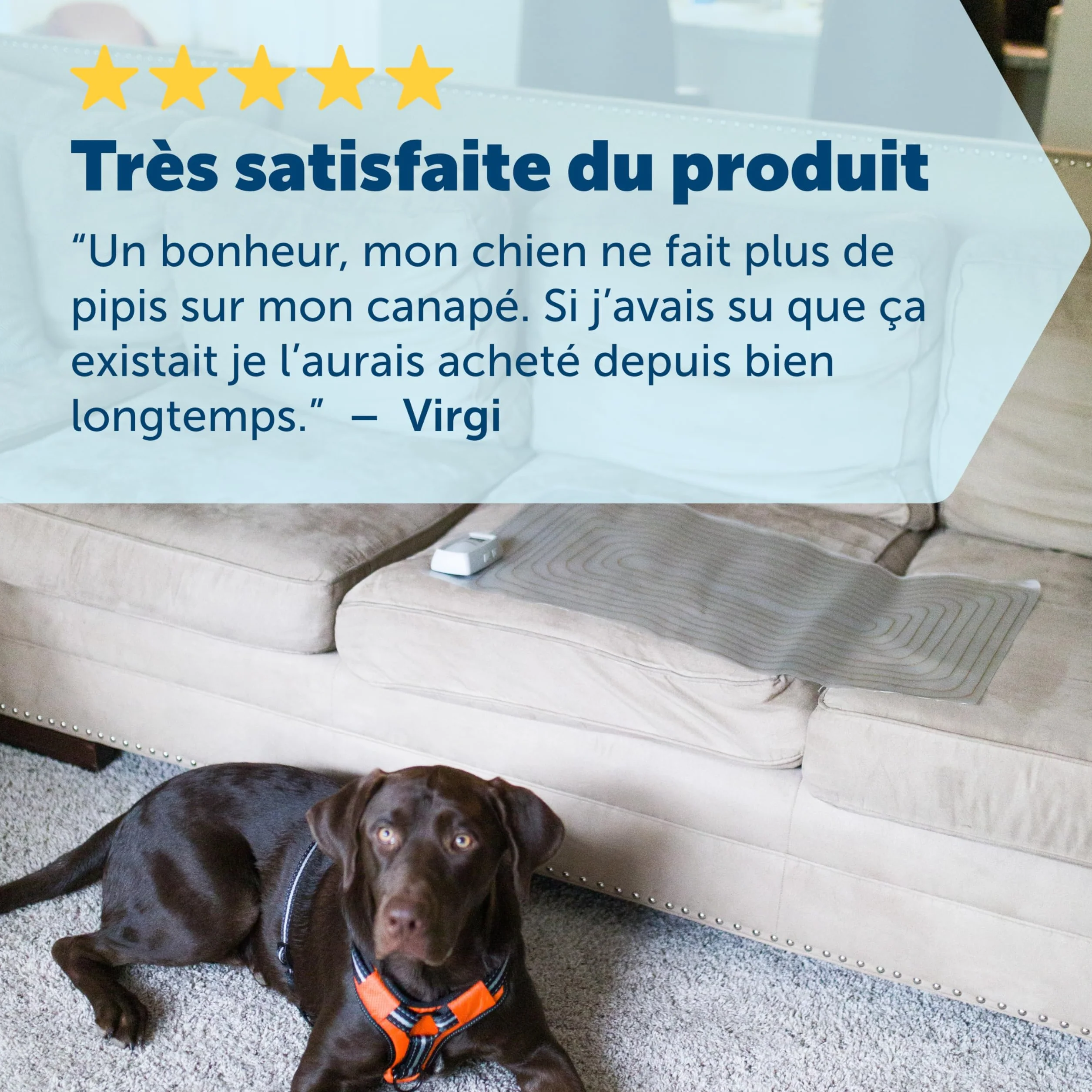 PetSafe Elektroniczna mata treningowa ScatMat XL, ochrona mebli, 7 trybów stymulacji, bateria