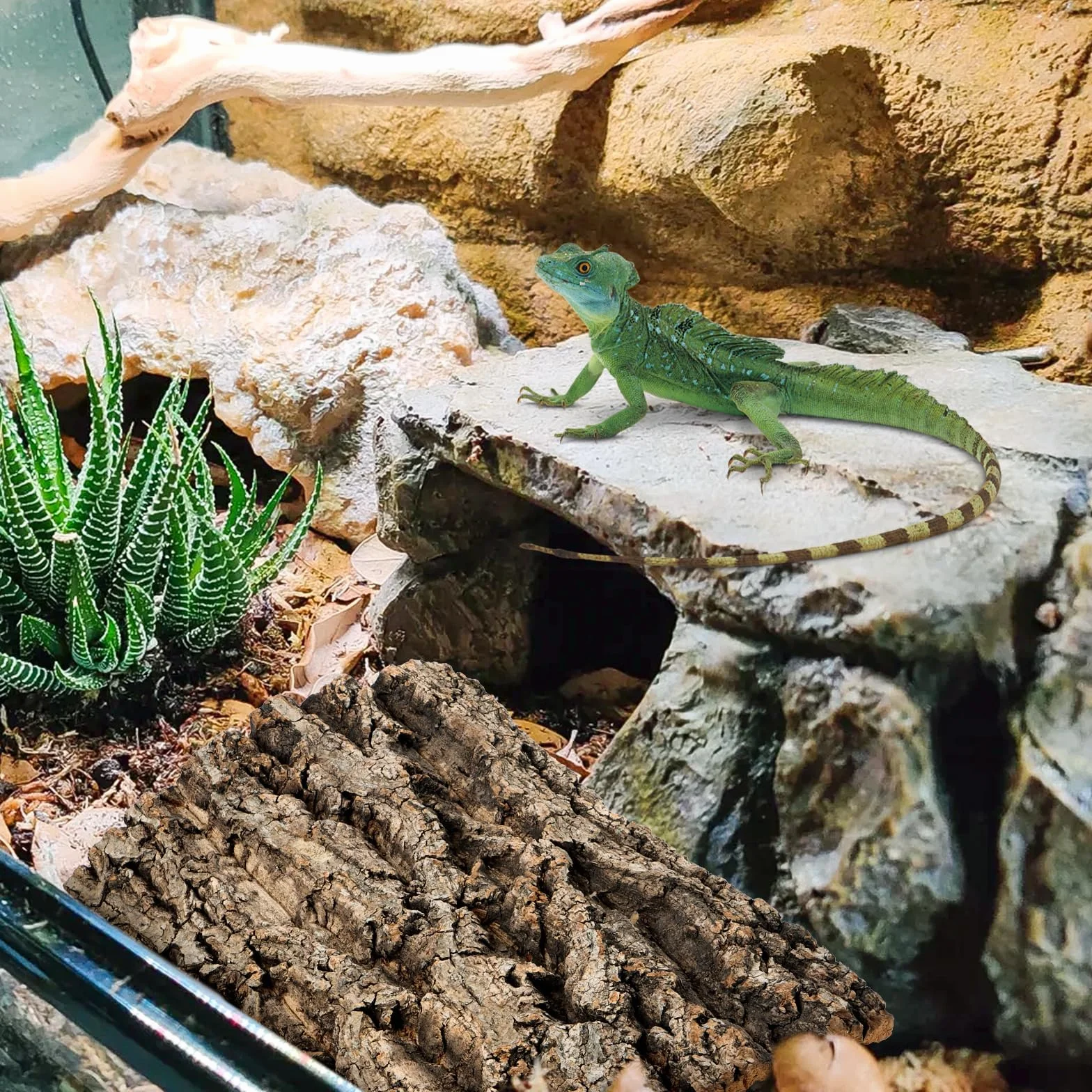 Tylna ścianka z korka do terrarium 3D naturalna kora dekoracja