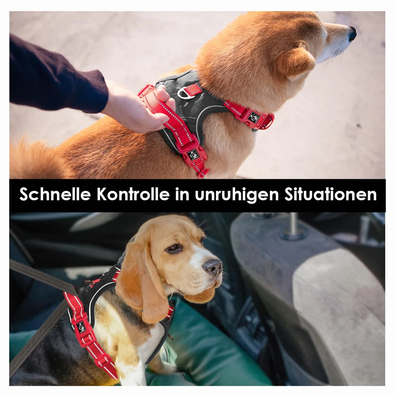 PHOEPET Uprząż dla psa Anti-Zug – odblaskowa, regulowana uprząż bezpieczeństwa dla małych, średnich i dużych psów (M, czarna podstawa i czerwone ramiączka)