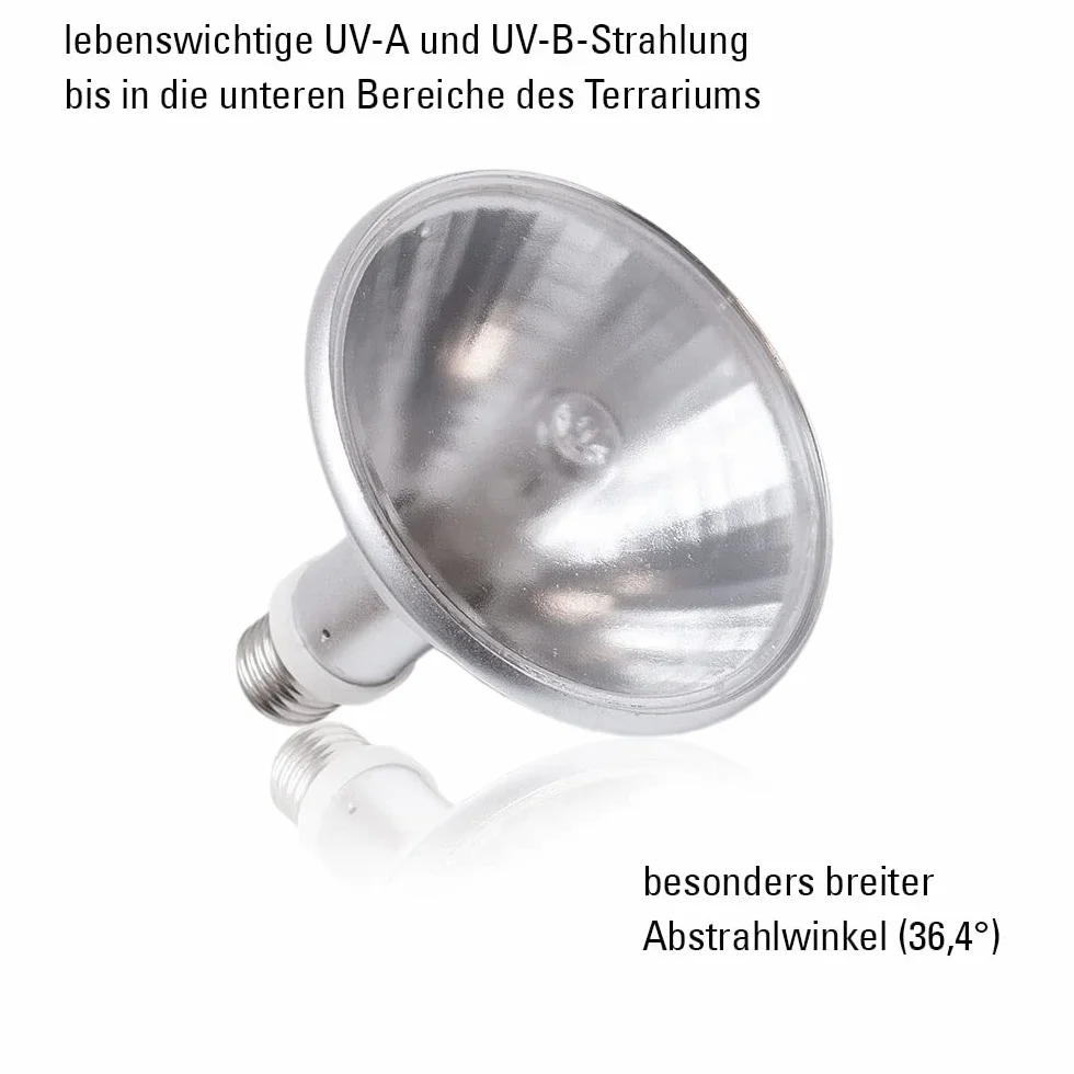 Econlux SolarRaptor 70W PAR38 reflektor loodowy