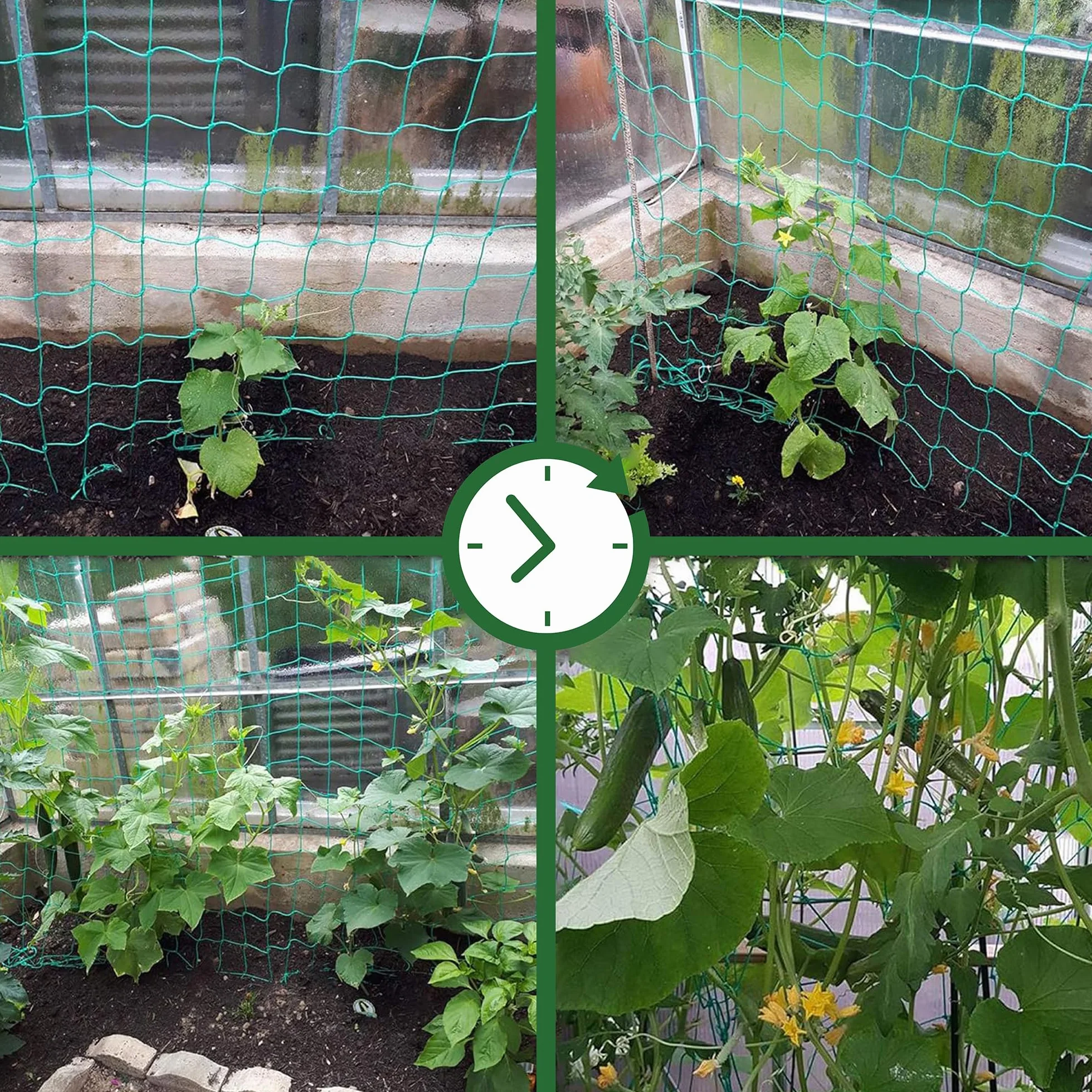 GardenGloss® Siatka na Pnącza z Dużymi Oczkami - Podpora dla Ogórków, Pomidorów i Warzyw (2 m x 2,5 m)