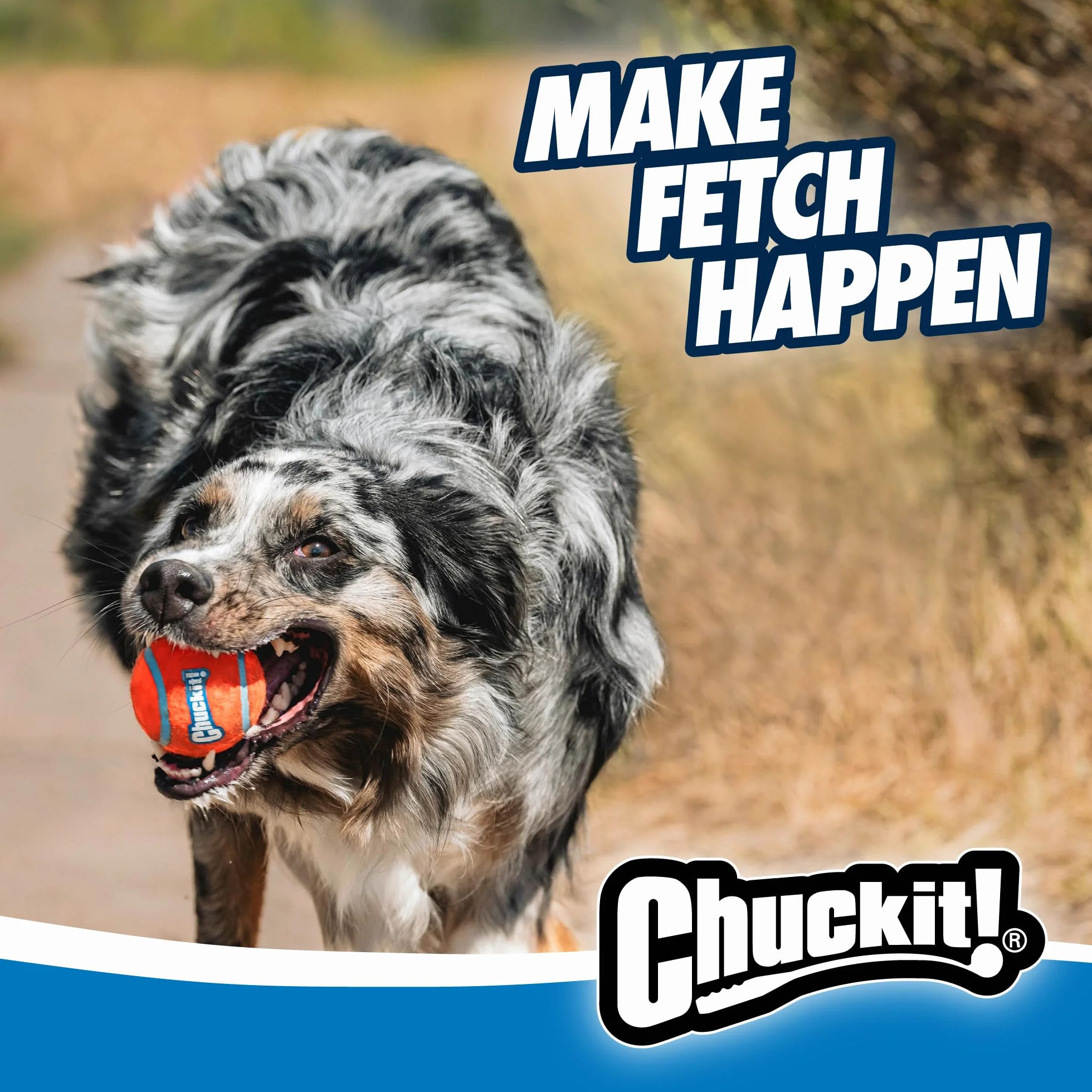 Chuckit! Piłki, Wielokolorowy, 30cm