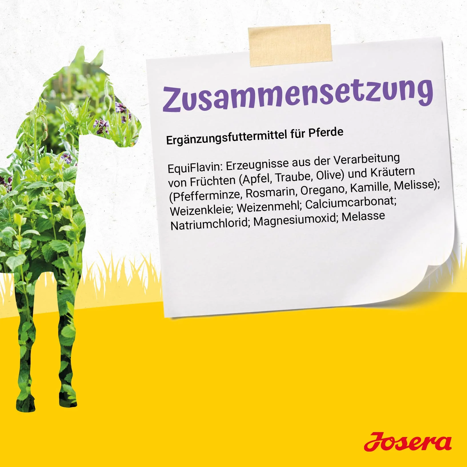 JOSERA Flavo Gast 3 kg karma dla koni wrażliwych z EquiFlavin