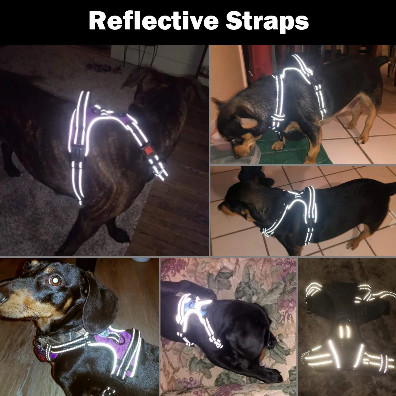PHOEPET Szelki dla psa bez ciągnięcia 3M odblaskowe regulowane rozmiar L jasnoniebieskie