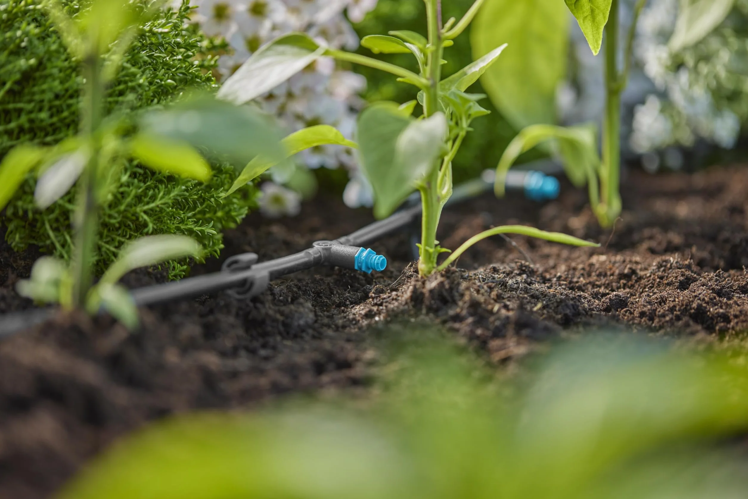 Gardena system Micro-Drip, kroplownik rzędowy 2 l/h: Kroplownik do automat. systemu nawadniania, do roślin z podobnym zapotrzebowaniem na wodę, prosta technika połączeniowa (13317-20)