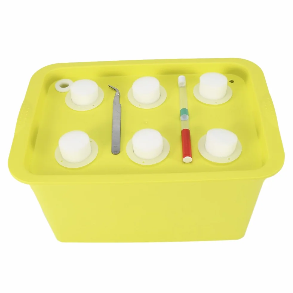 ViaGasaFamido 6-otworowy system hydroponiczny, zestaw do uprawy, bąbelki, do wewnątrz, na zewnątrz, do ogrodu, na bańkę, do kabiny, pojemnik na rośliny, doniczki ogrodowe (zielony)