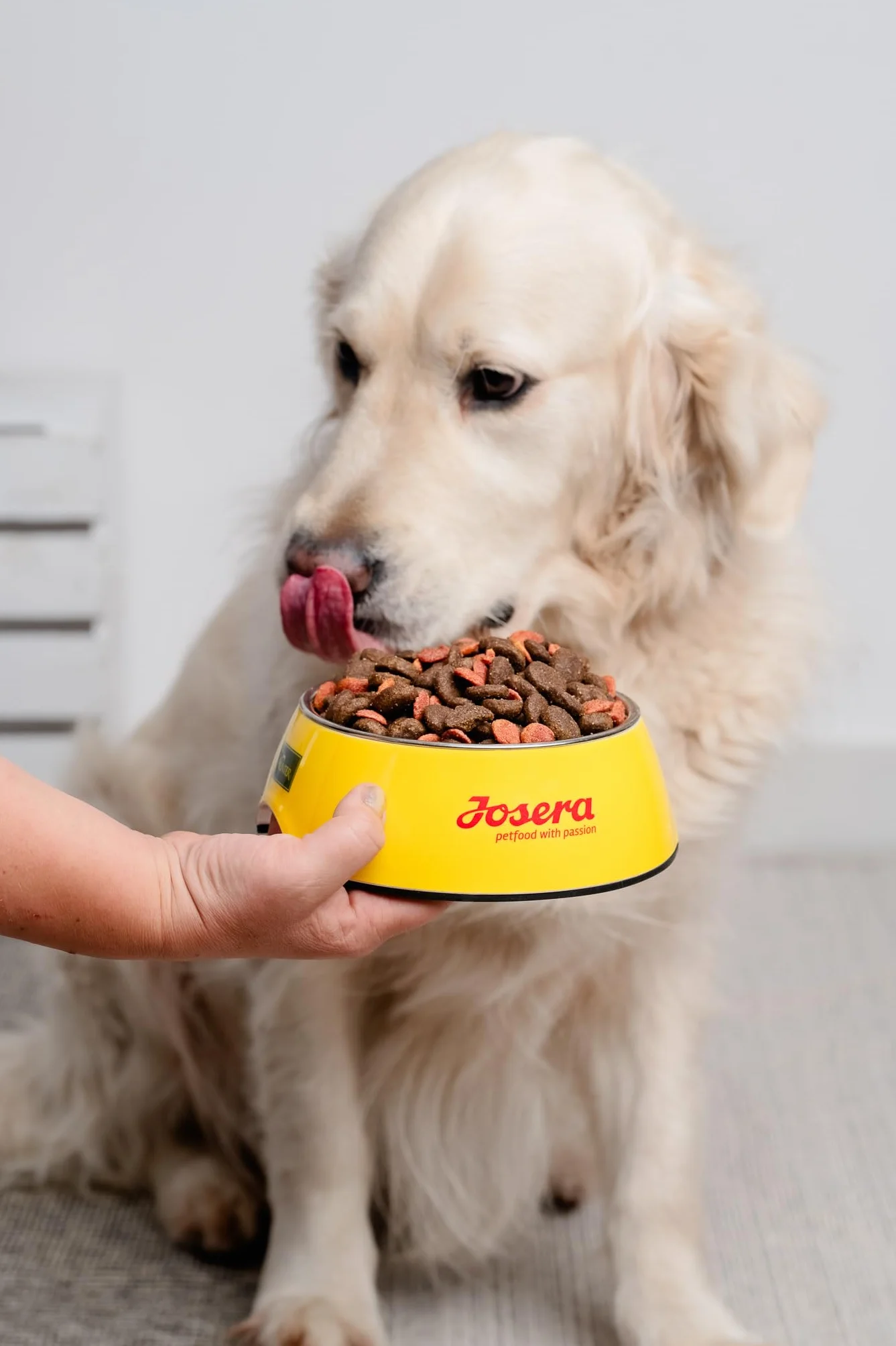 JosiDog Adult Sensitive 2,7 kg sucha karma dla psów wrażliwych