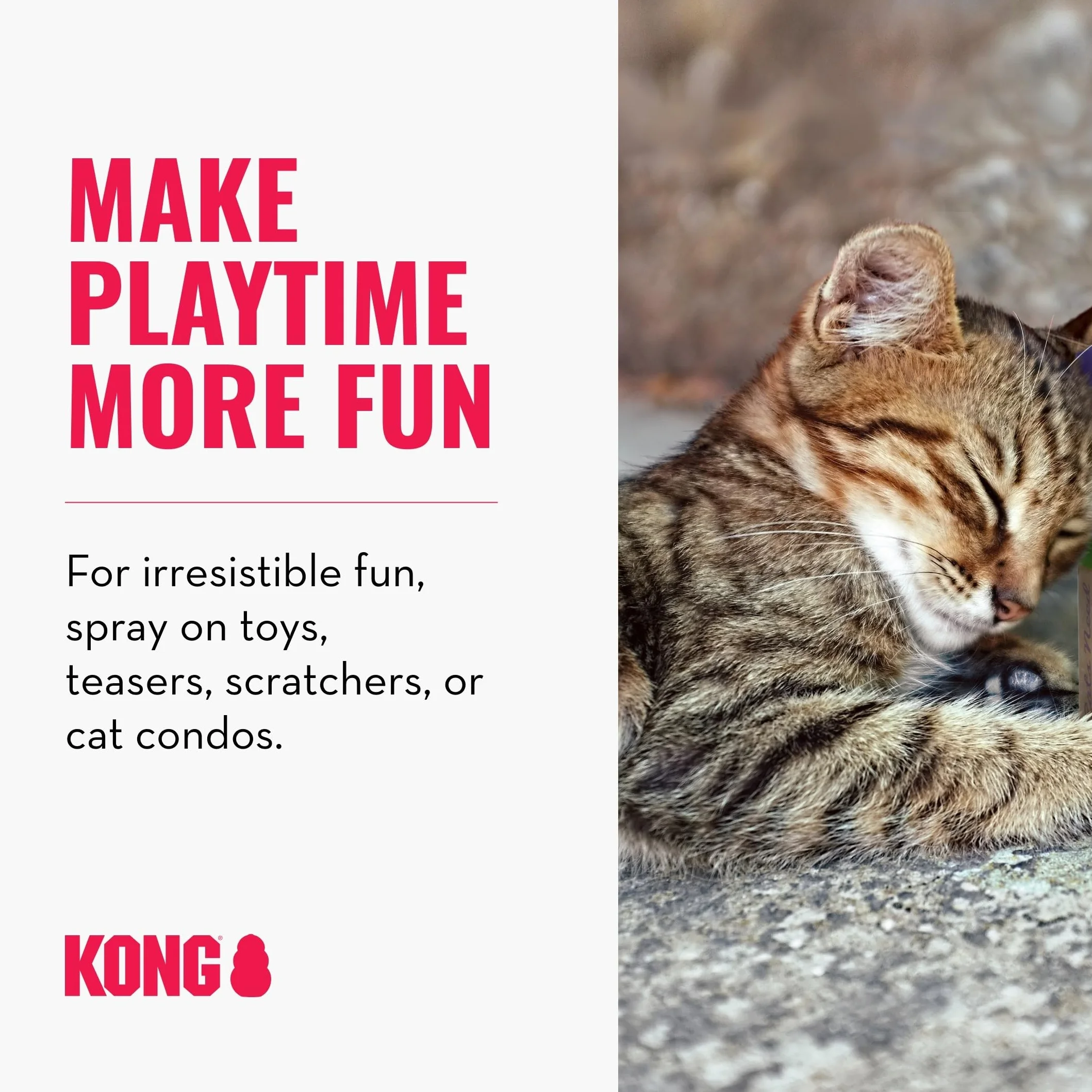 KONG – Naturals Catnip spray dla kotów – 30 ml (1 Fluid Ounce)