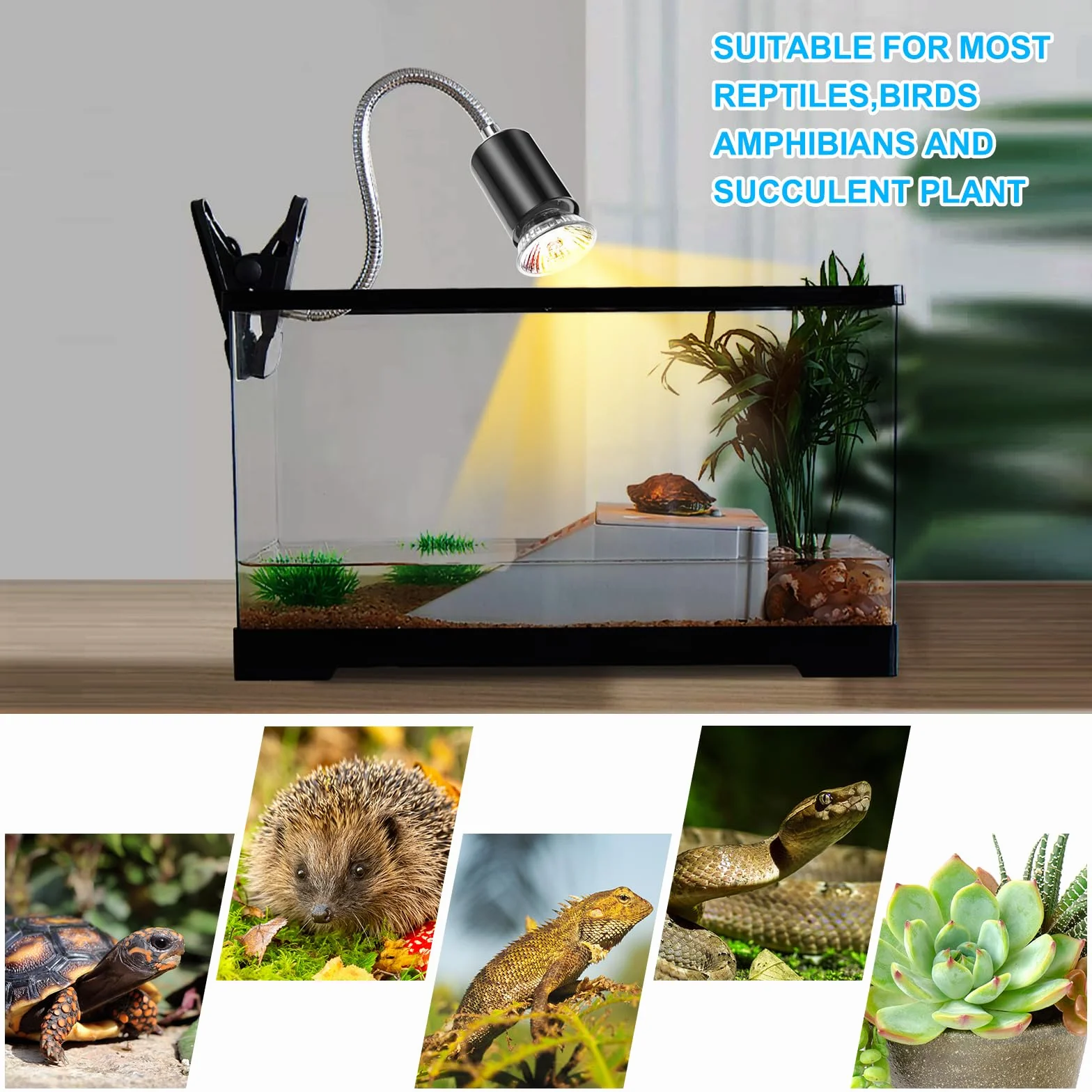 Lampa żółwia, lampa dla gadów z 1 oprawką E27 i 2 żarówkami UVA UVB o mocy 50 W i obrotowym zaciskiem 360 °, lampa dla gadów dla żółwia, węża, jaszczurki, kameleona