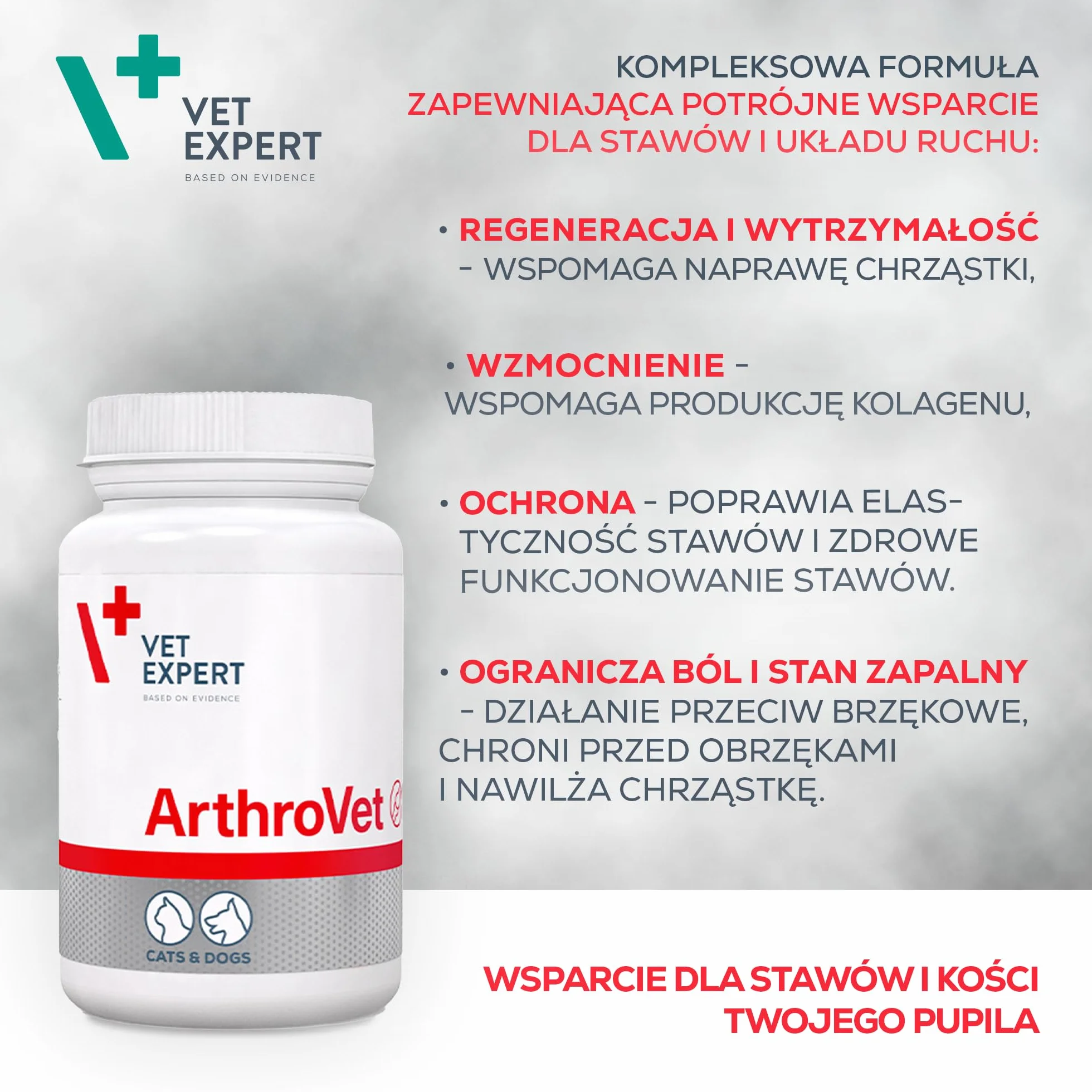 VET EXPERT ARTHROVET - preparat na stawy dla psów i kotów 90 tabletek