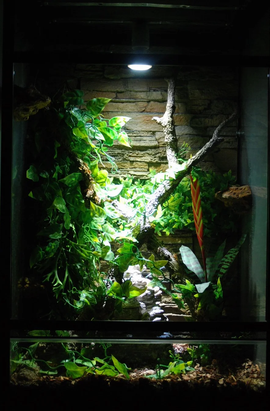 Lucky Reptile LED Sun Flood 6,5 W E27 Lampa do terrarium Oświetlenie terrarium