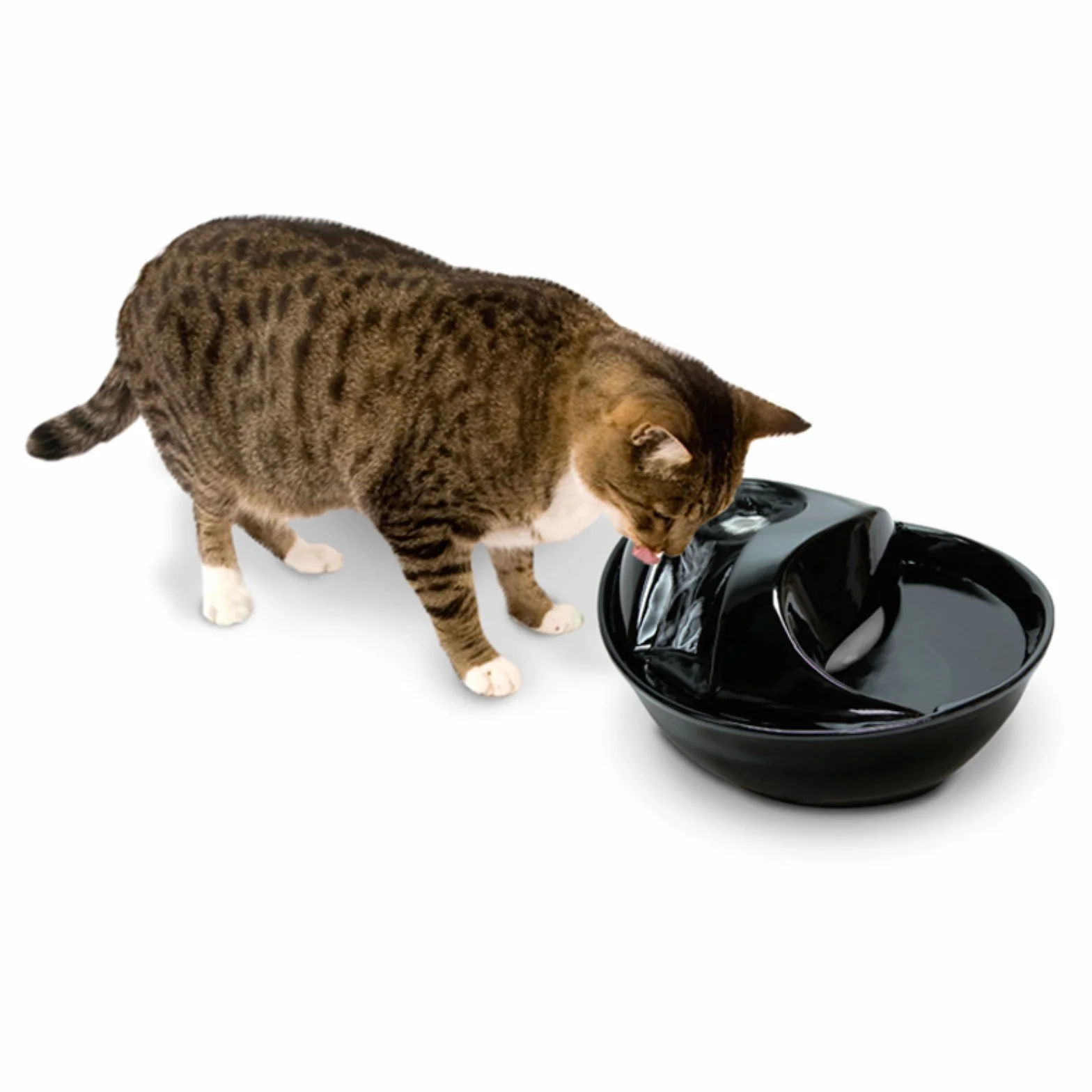 Pioneer Pet ceramiczna fontanna do picia dla zwierząt domowych biała