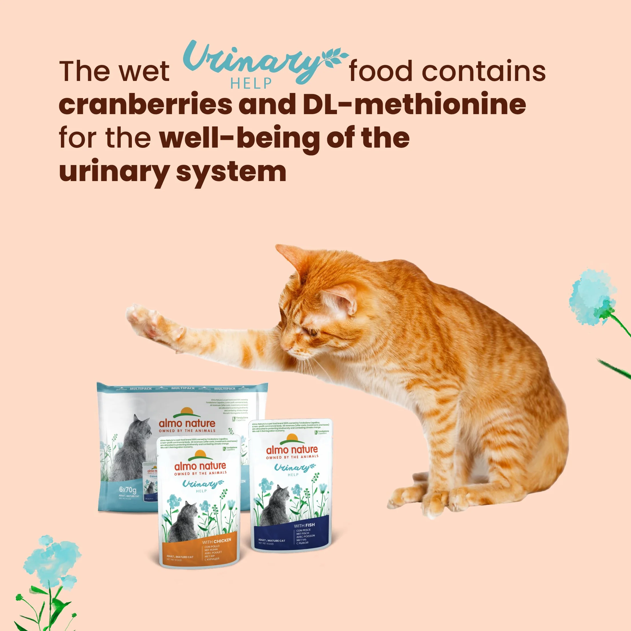 Almo Nature Functional Urinary Help Wilgotna karma dla dorosłych kotów wsparcie dróg moczowych 30 worków po 70 g