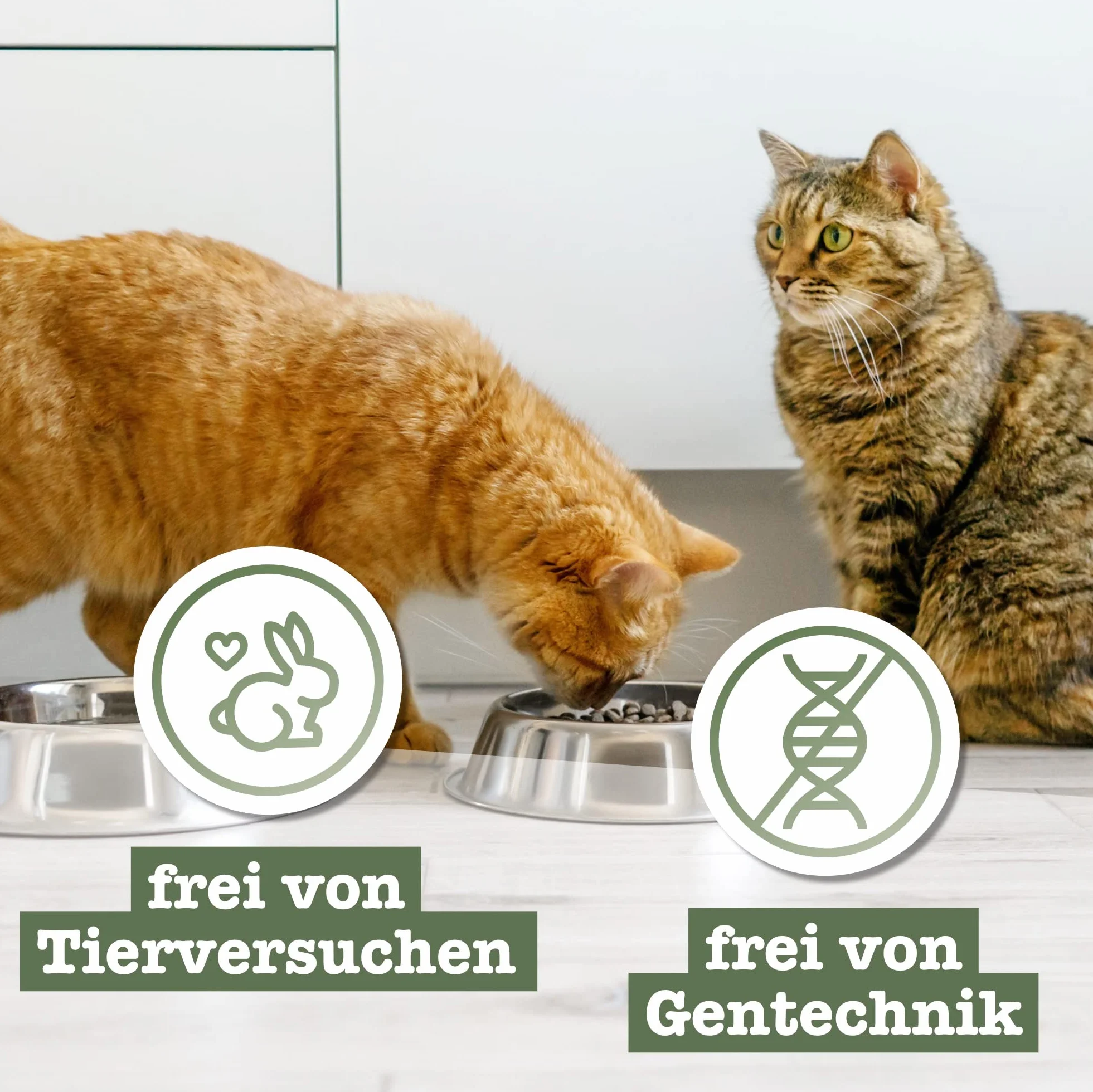 catz finefood Meatz smakołyki dla kotów, koń, nr 15, chrupiące paski ze 100% mięsa końskiego, przekąska dla alergików bez cukru, bez zboża (1 x 45 g)