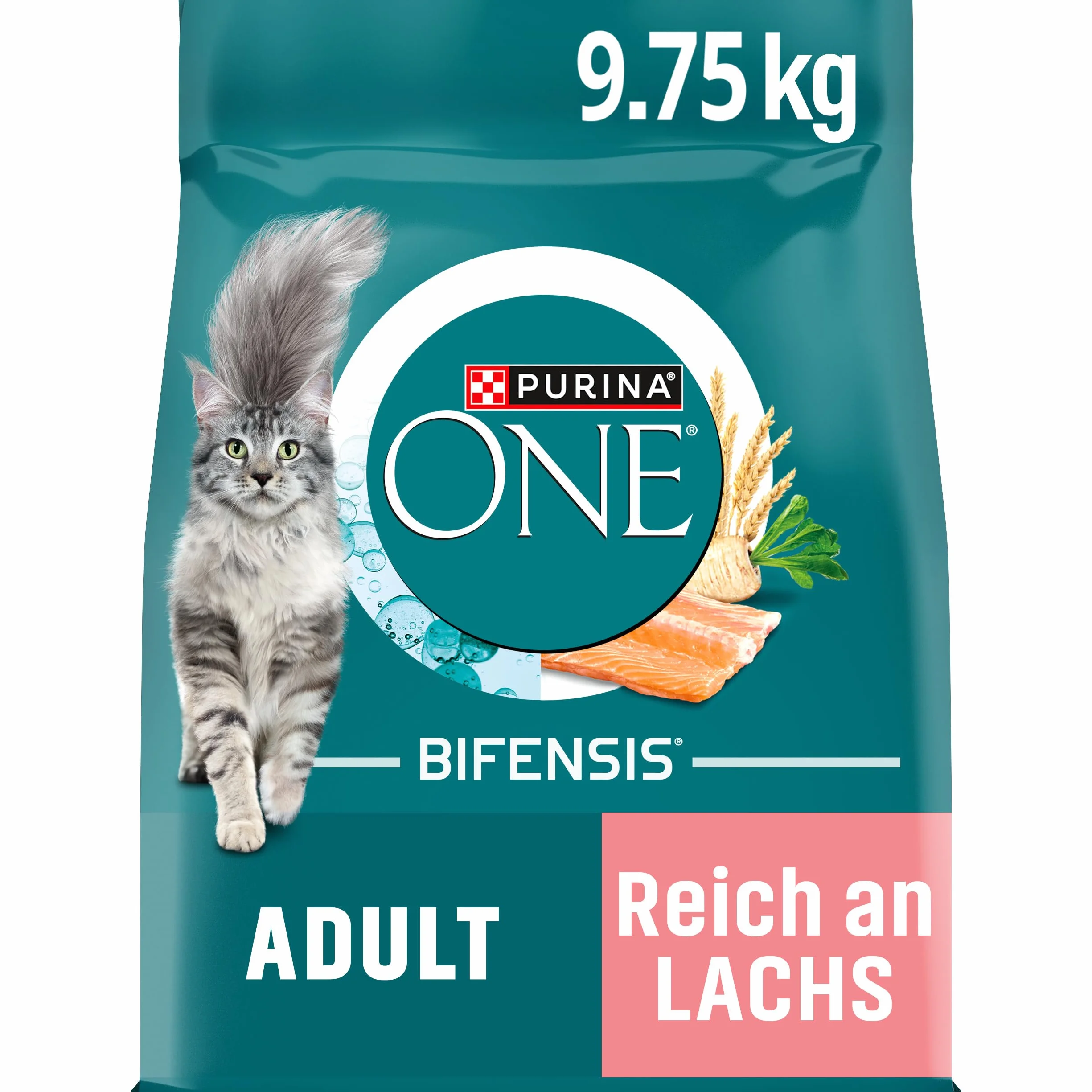 PURINA ONE Karma sucha dla dorosłych kotów Bogata w Łososia 9.75 kg
