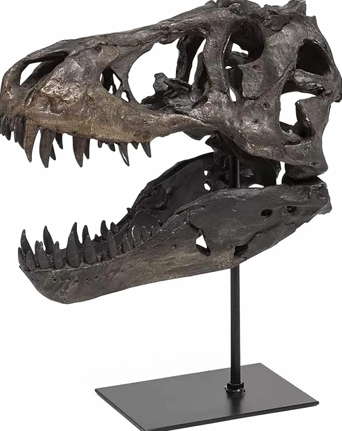 Figurka czaszki dinozaura, uchwyt na rzeźbę dinozaura, tyranozaur, czaszka, replika, dekoracja, czaszka, kość, replika żywicy, z uchwytem, do domu, biura, regału dekoracyjnego