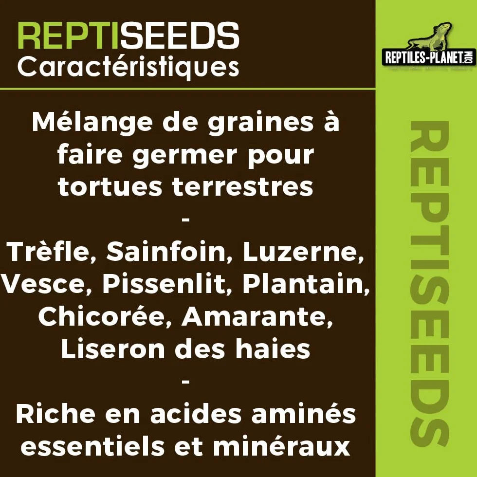 Reptiles Planet - Reptiseeds - Mieszanka nasion kiełkujących żółwia ziemnego - 100g