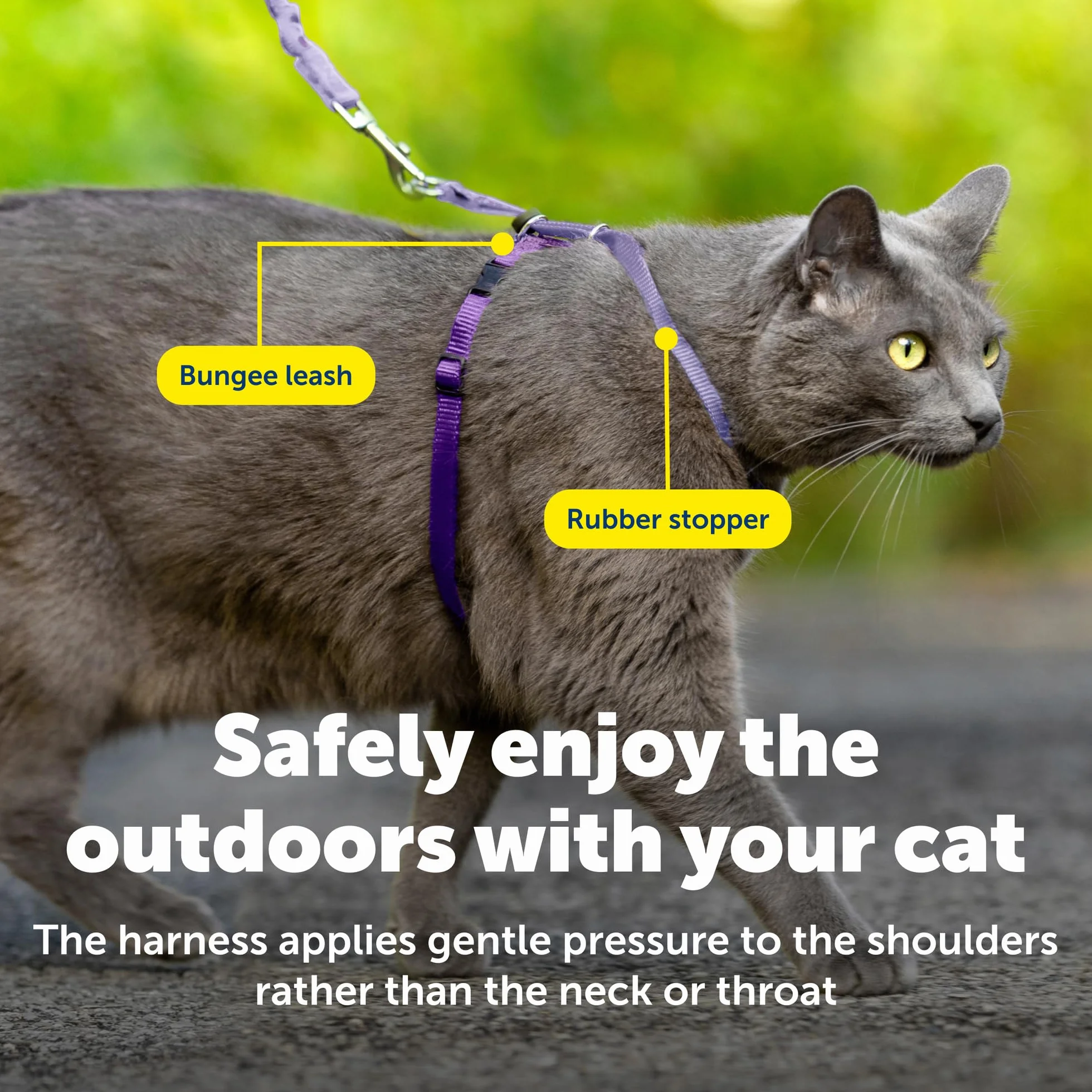 PetSafe Come With Me Kitty uprząż i smycz dla kota Bungee, rozmiar M, liliowy