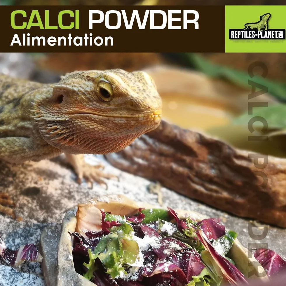 Reptiles Planet Calci Sepia Powder Kości mątwy w proszku dla gadów 100 g