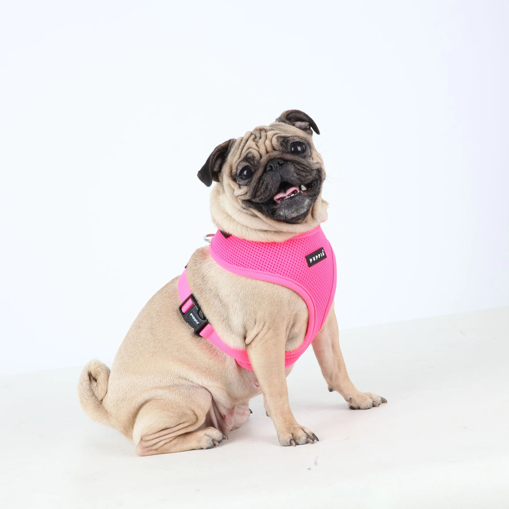 HARNESS NEON SOFT A PINK S