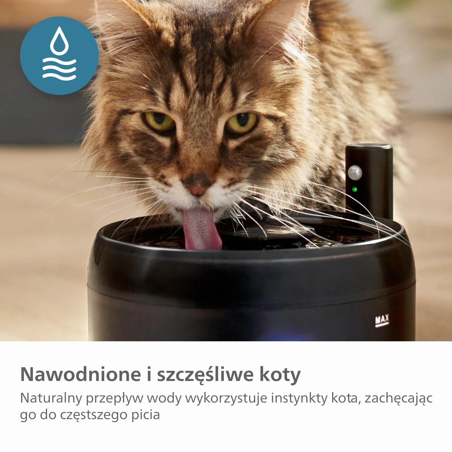 Philips Fontanna Wodna Dla Zwierząt, Zabezpieczenie przed rozlaniem, Auto Uzupełnianie Wody, Aktywacja Ruchem, Cichy (<38 dB), 4 Warstwy Filtrów, Na Baterie, Pojemność 2,2 l (PAW3210/02)